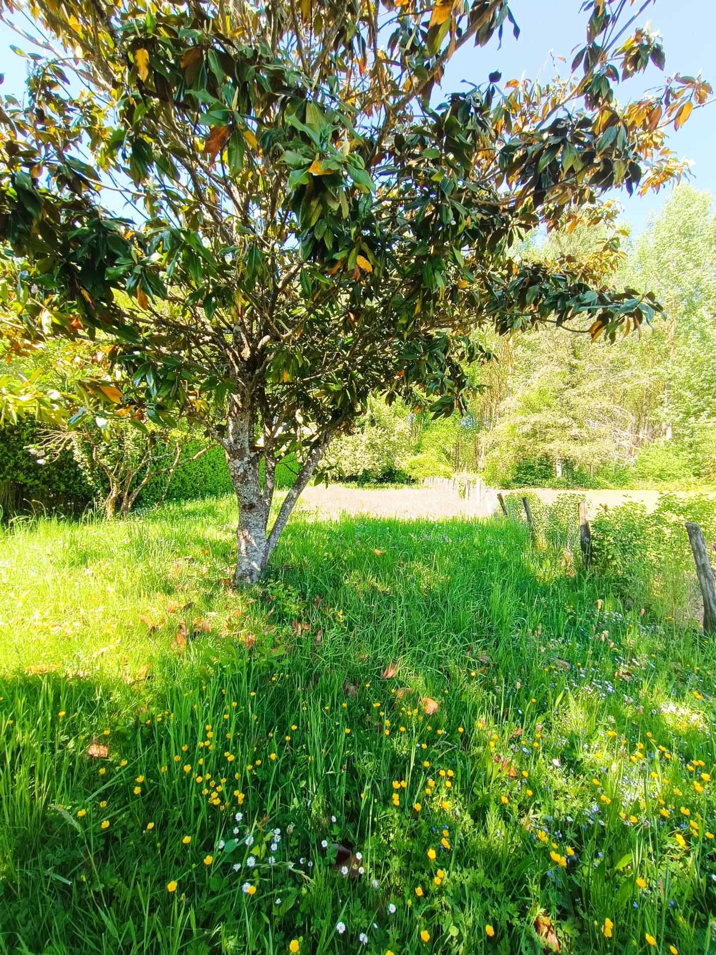 Miniature photo - 4 / 14