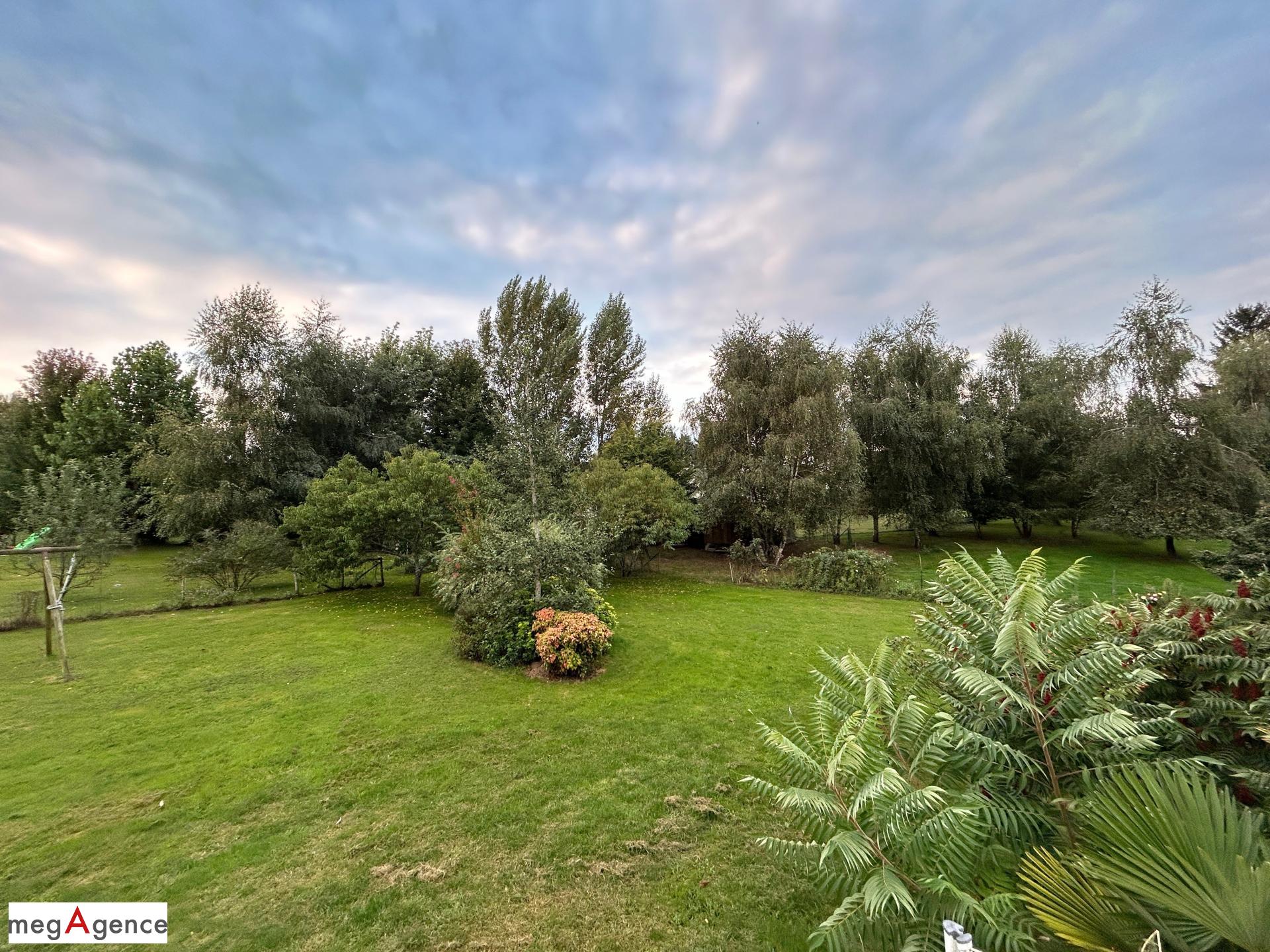 Miniature photo - 5 / 20