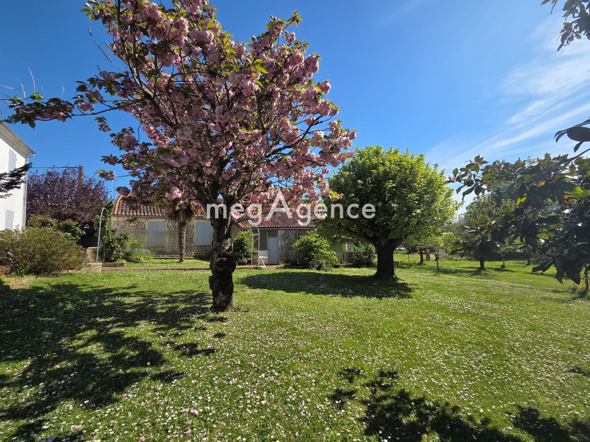 Miniature photo - 18 / 19