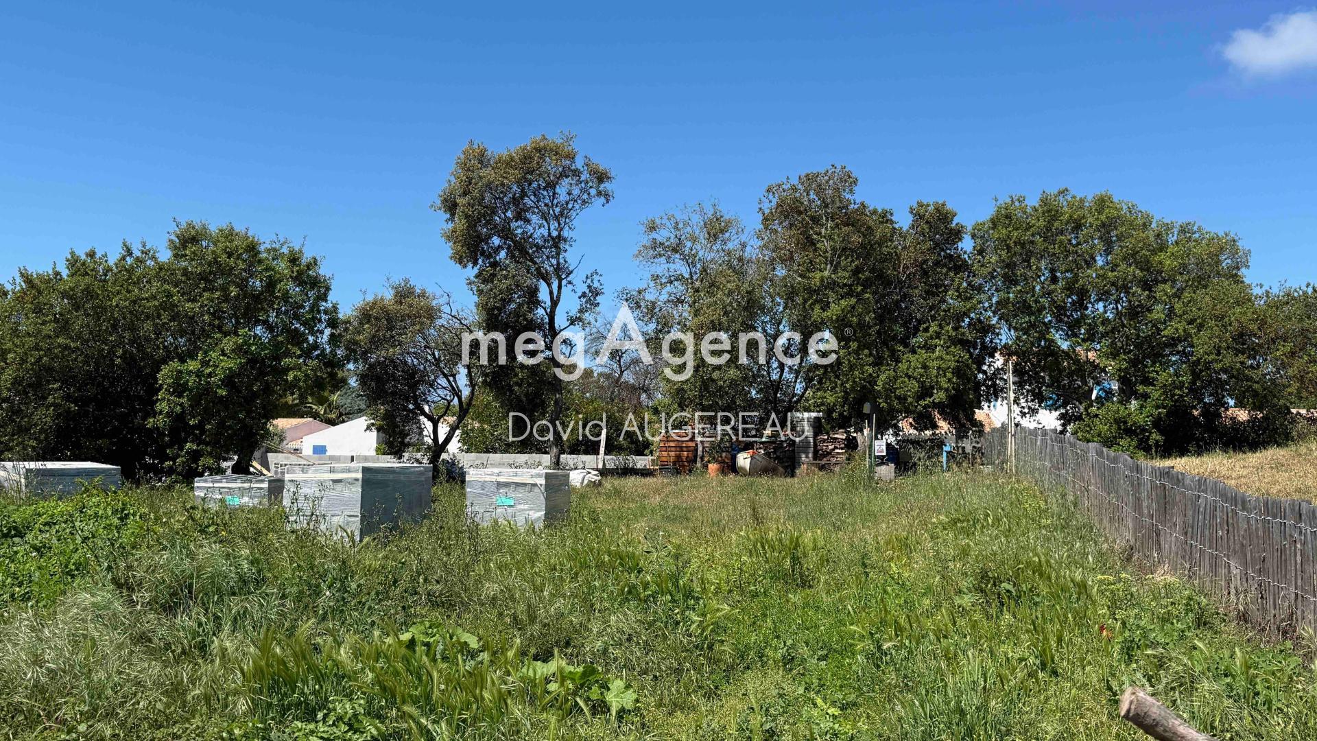 Miniature photo - 3 / 3