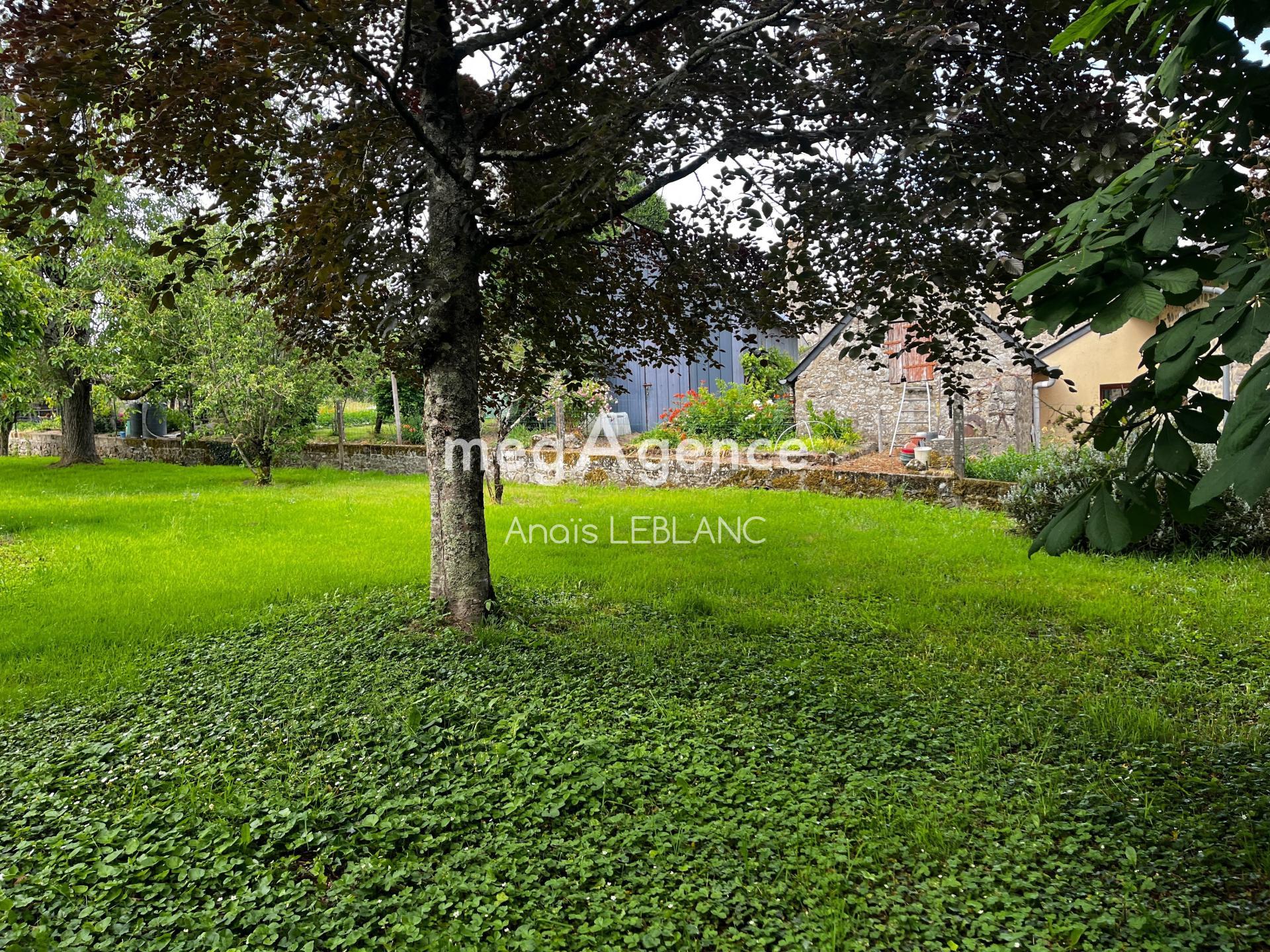 Miniature photo - 2 / 2