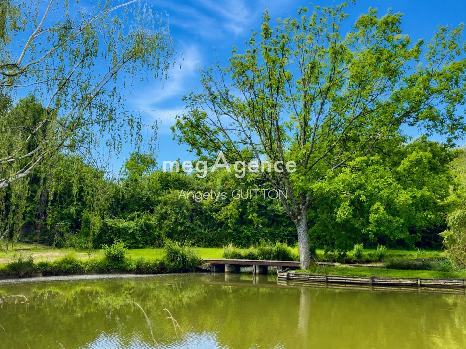 Miniature photo - 7 / 12