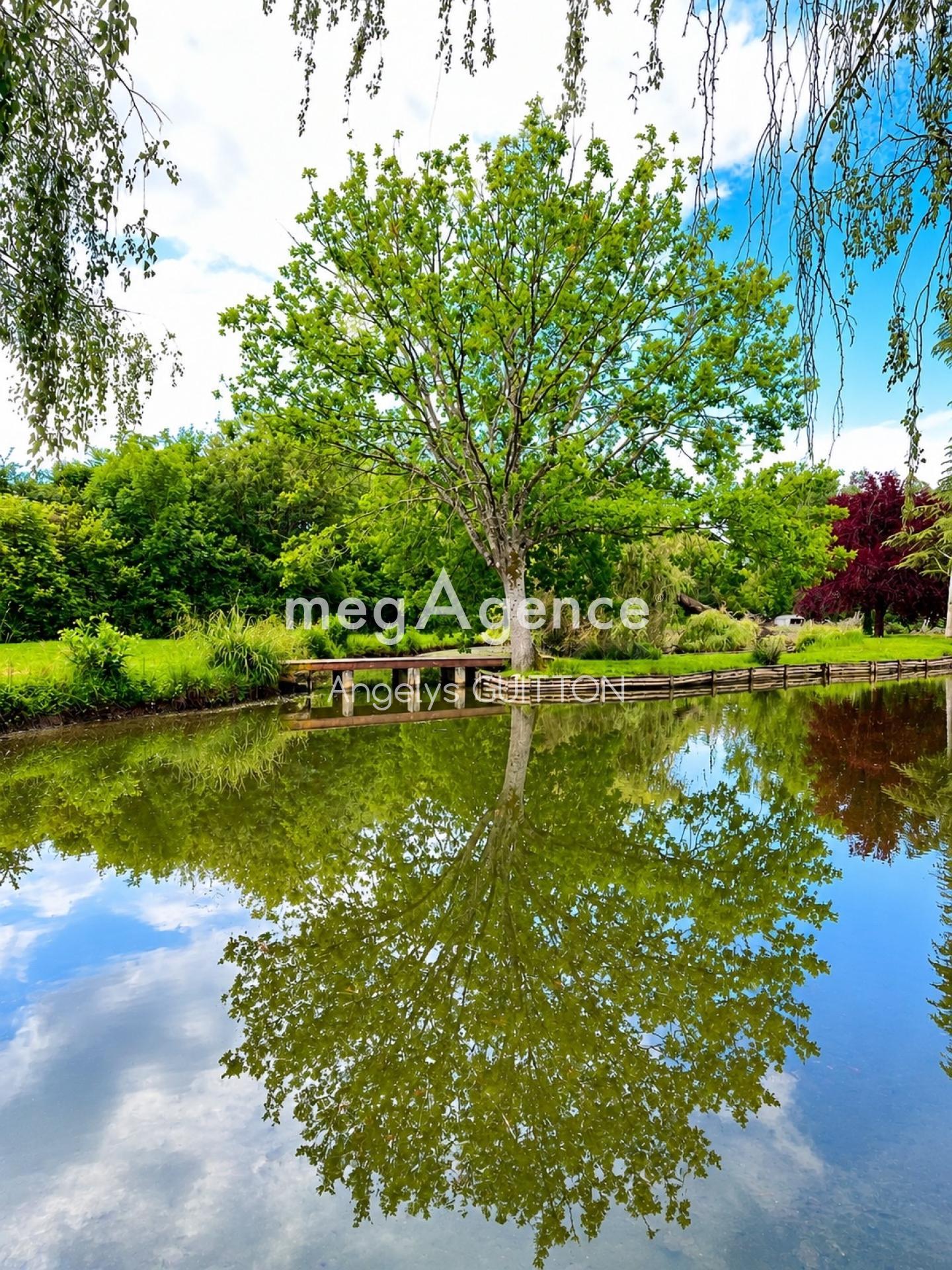 Miniature photo - 6 / 12