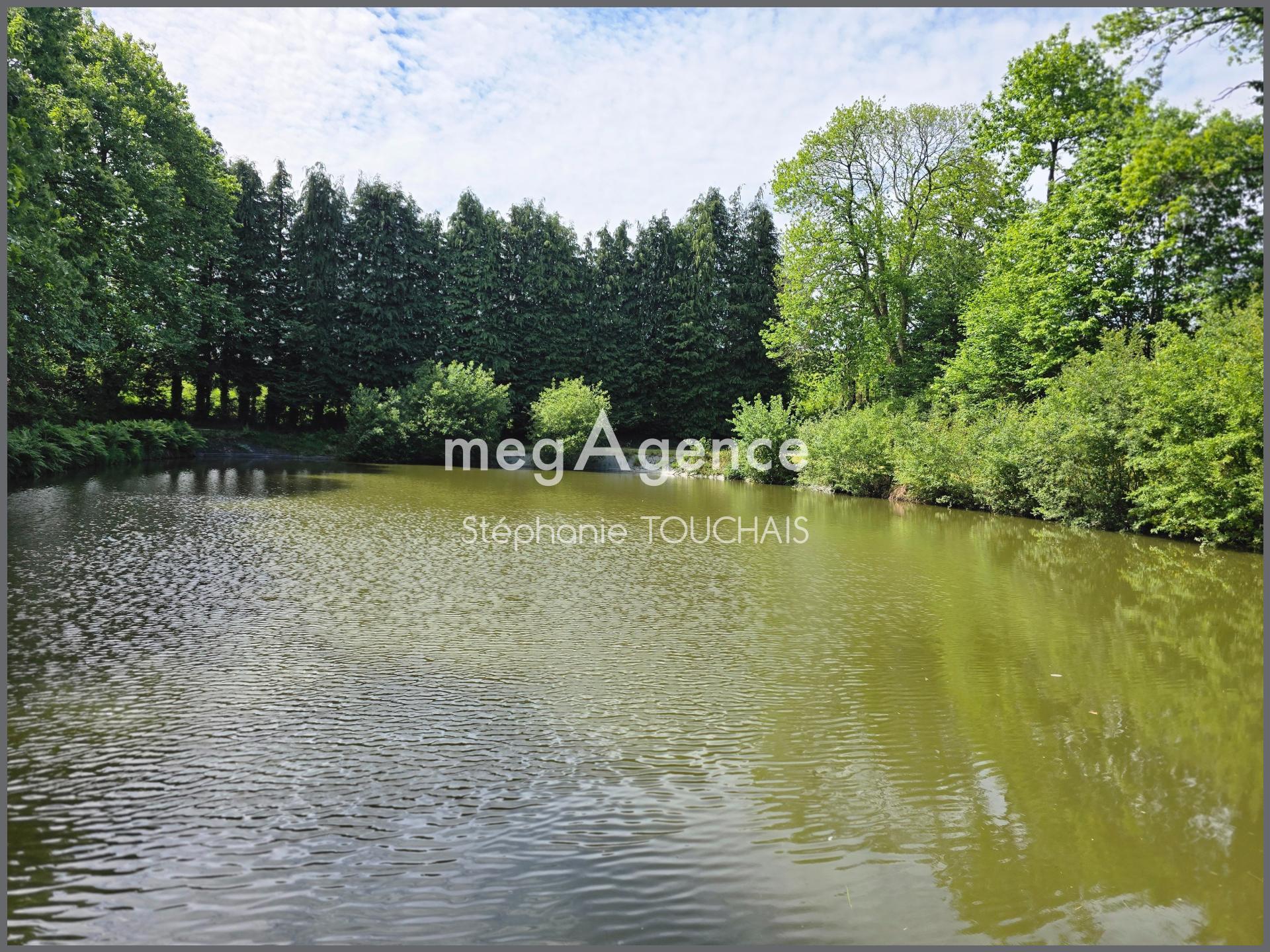 Miniature photo - 3 / 10