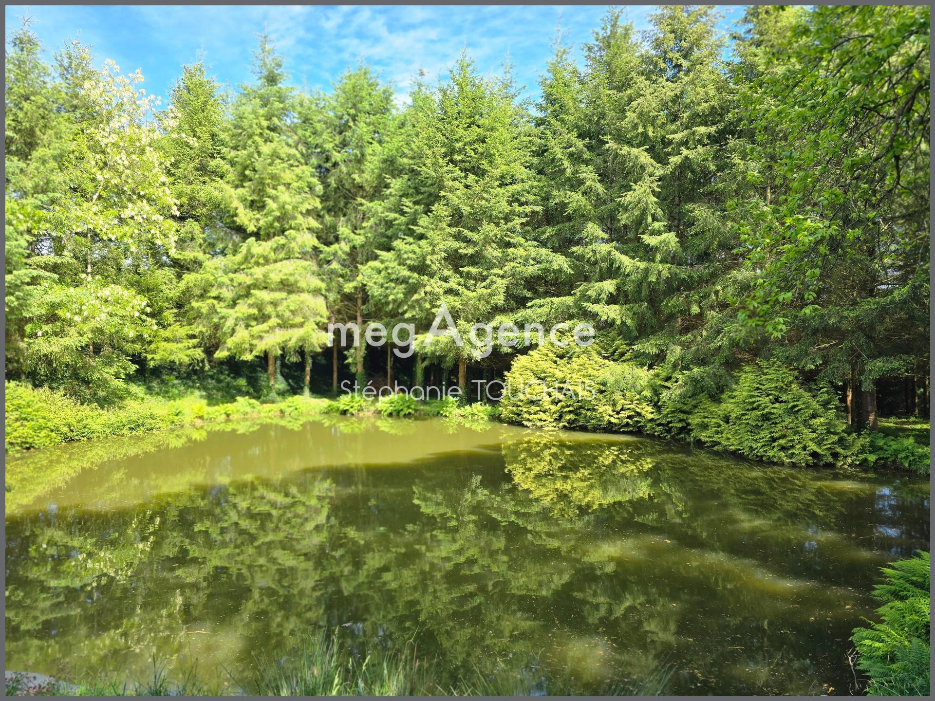 Miniature photo - 4 / 10