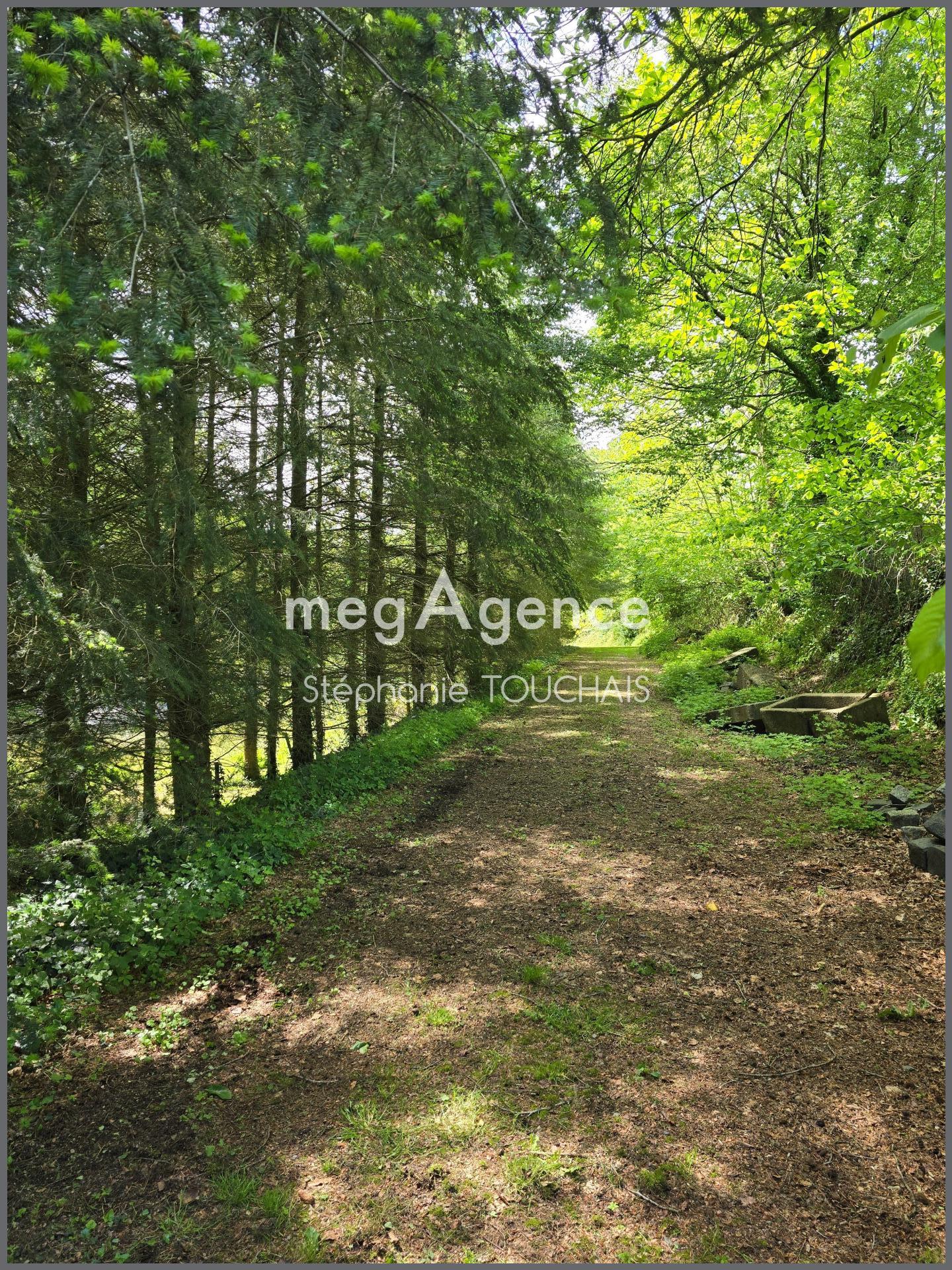 Miniature photo - 7 / 10