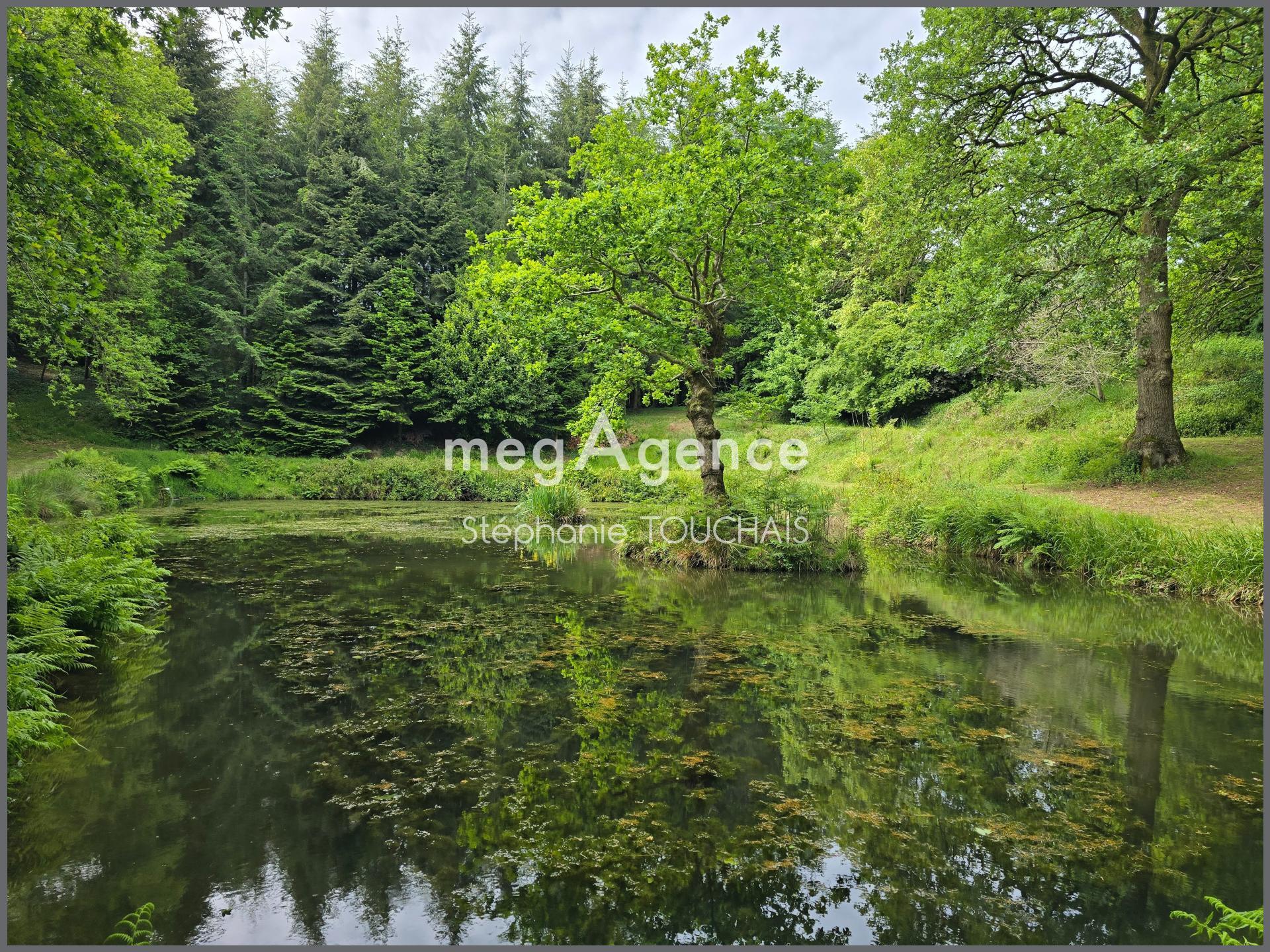 Miniature photo - 2 / 10