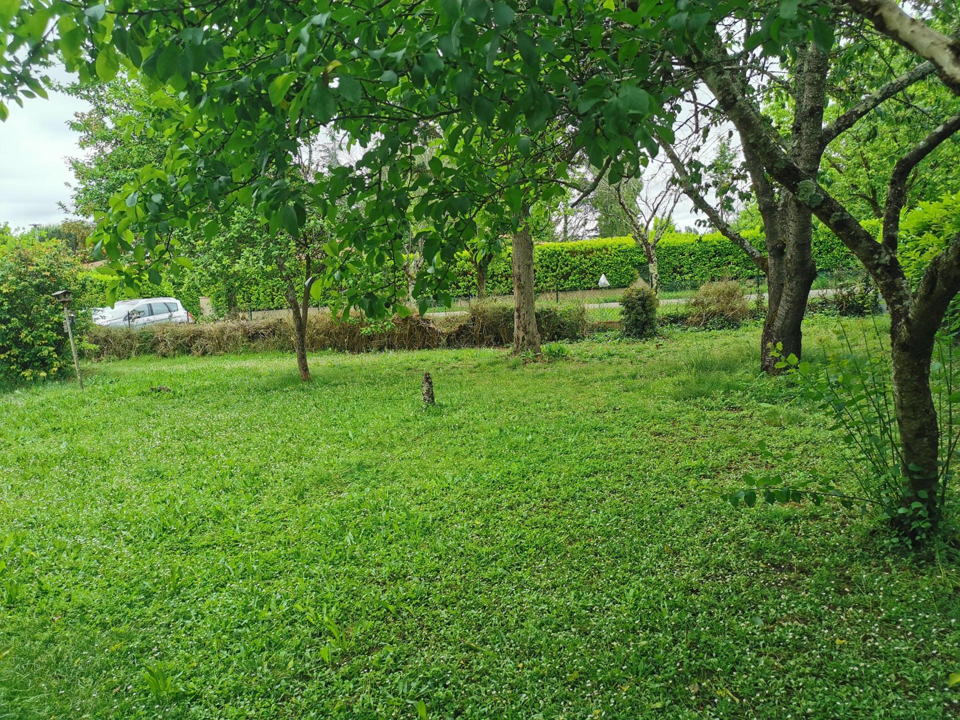 Miniature photo - 14 / 14