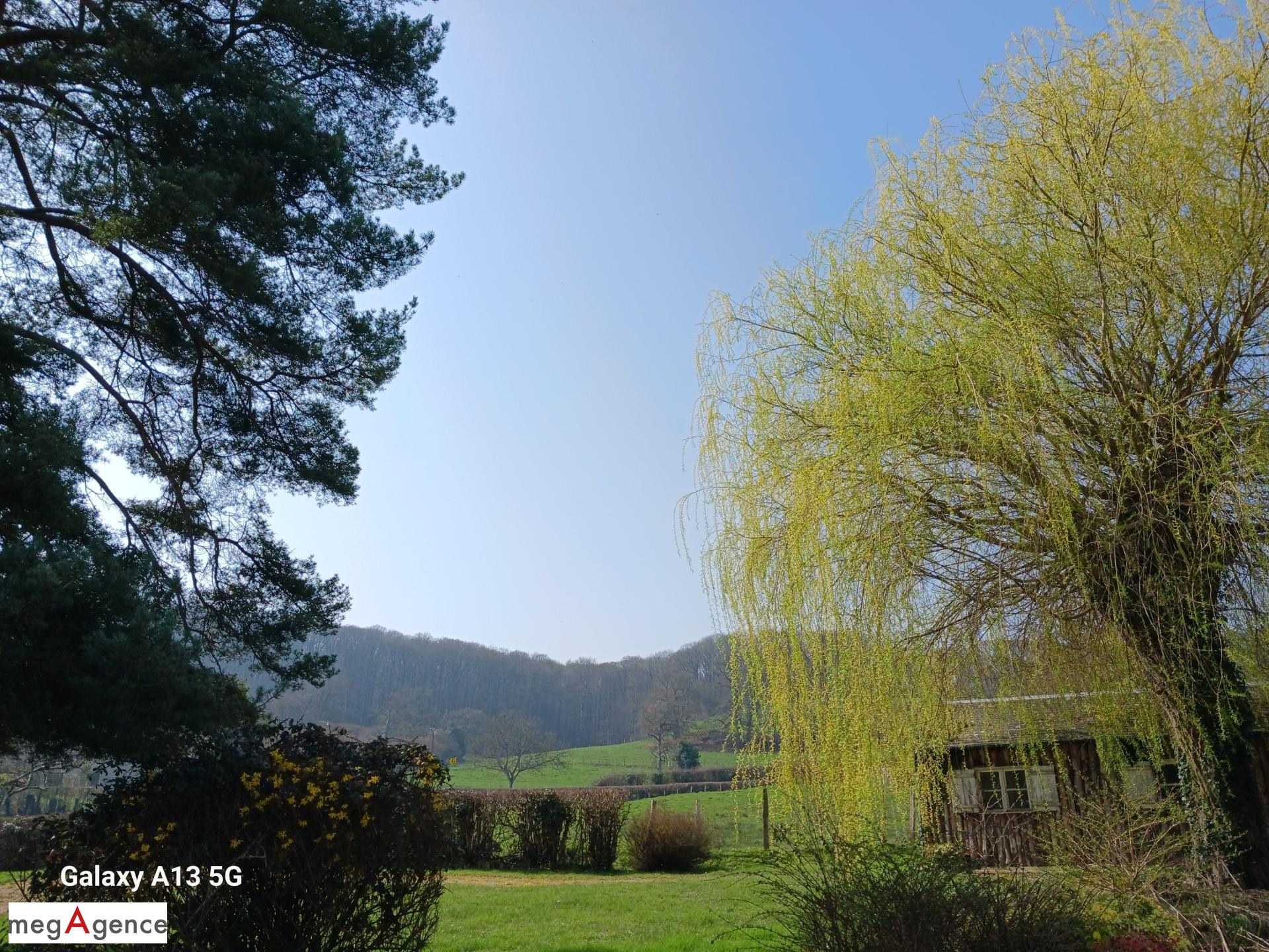 Miniature photo - 4 / 12