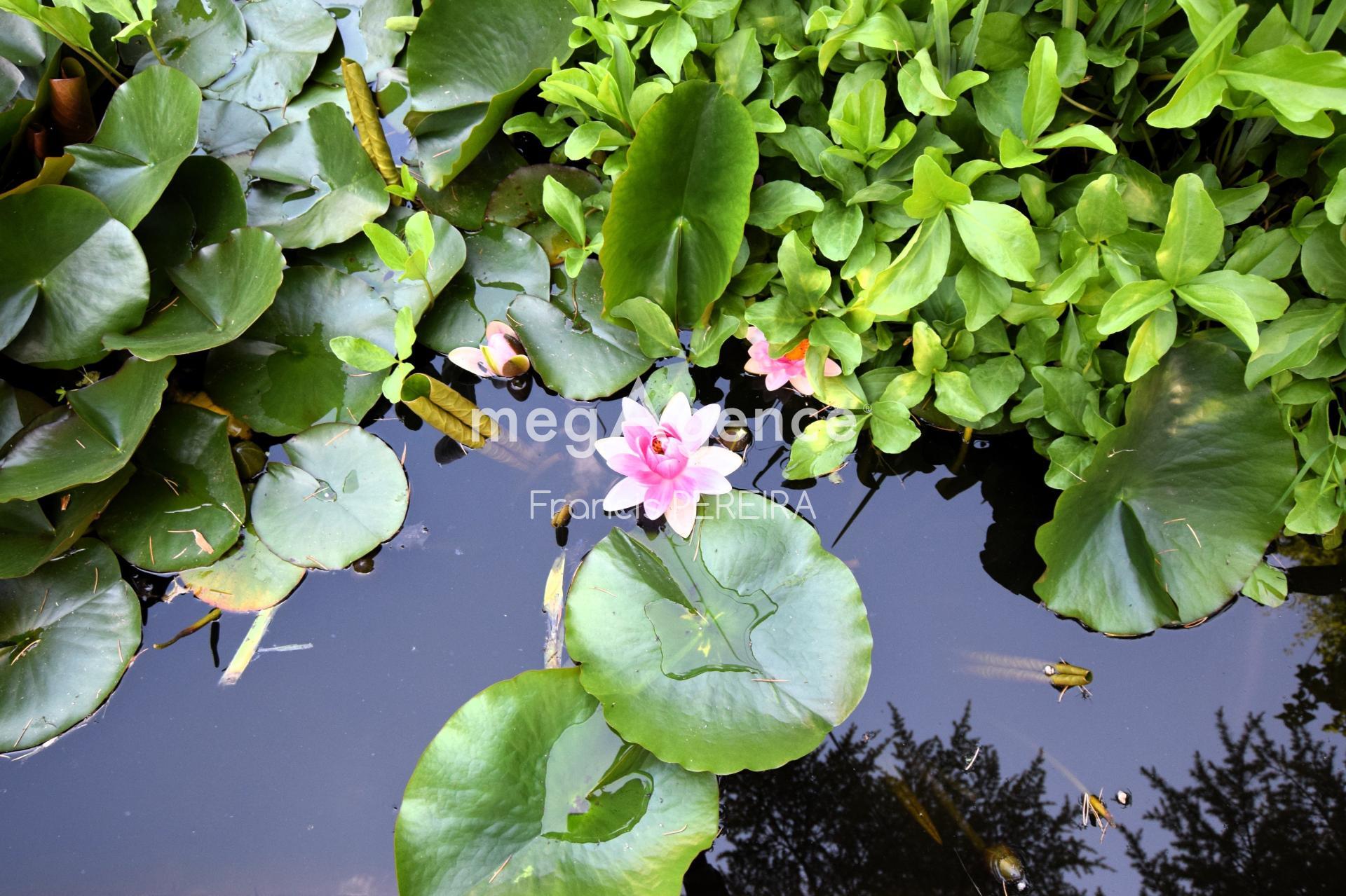 Miniature photo - 11 / 11