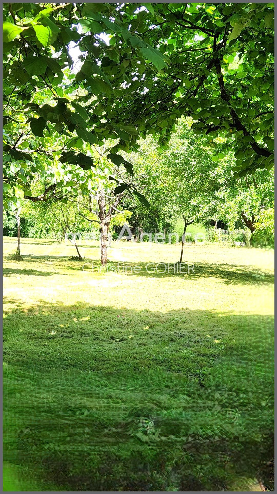 Miniature photo - 2 / 11