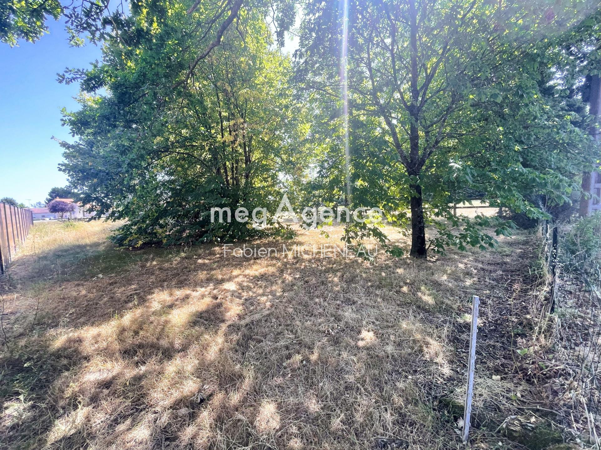 Miniature photo - 2 / 5