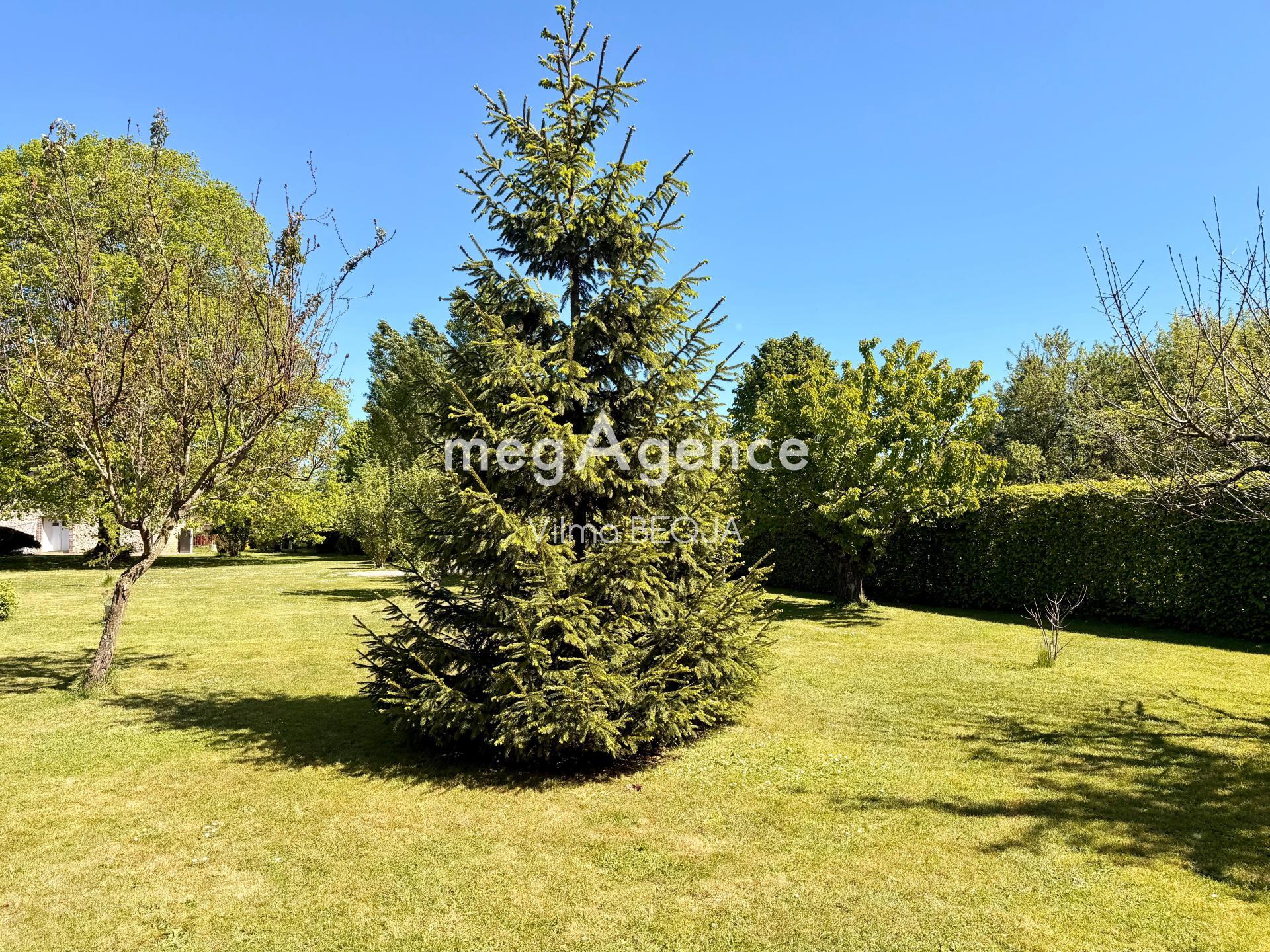 Miniature photo - 6 / 19