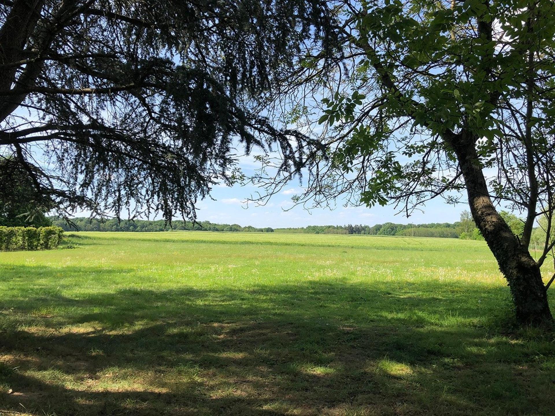 Miniature photo - 6 / 20