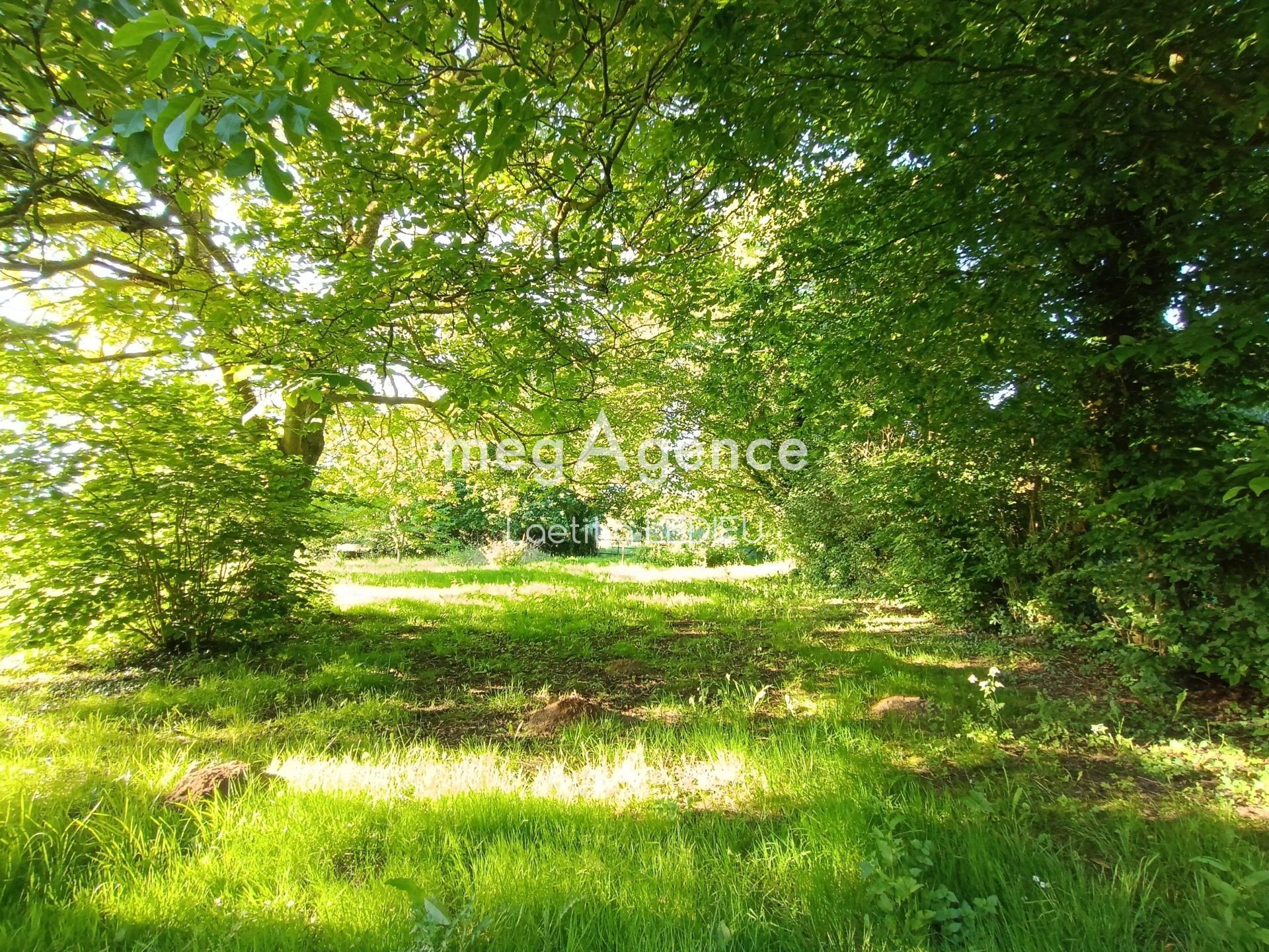 Miniature photo - 20 / 20
