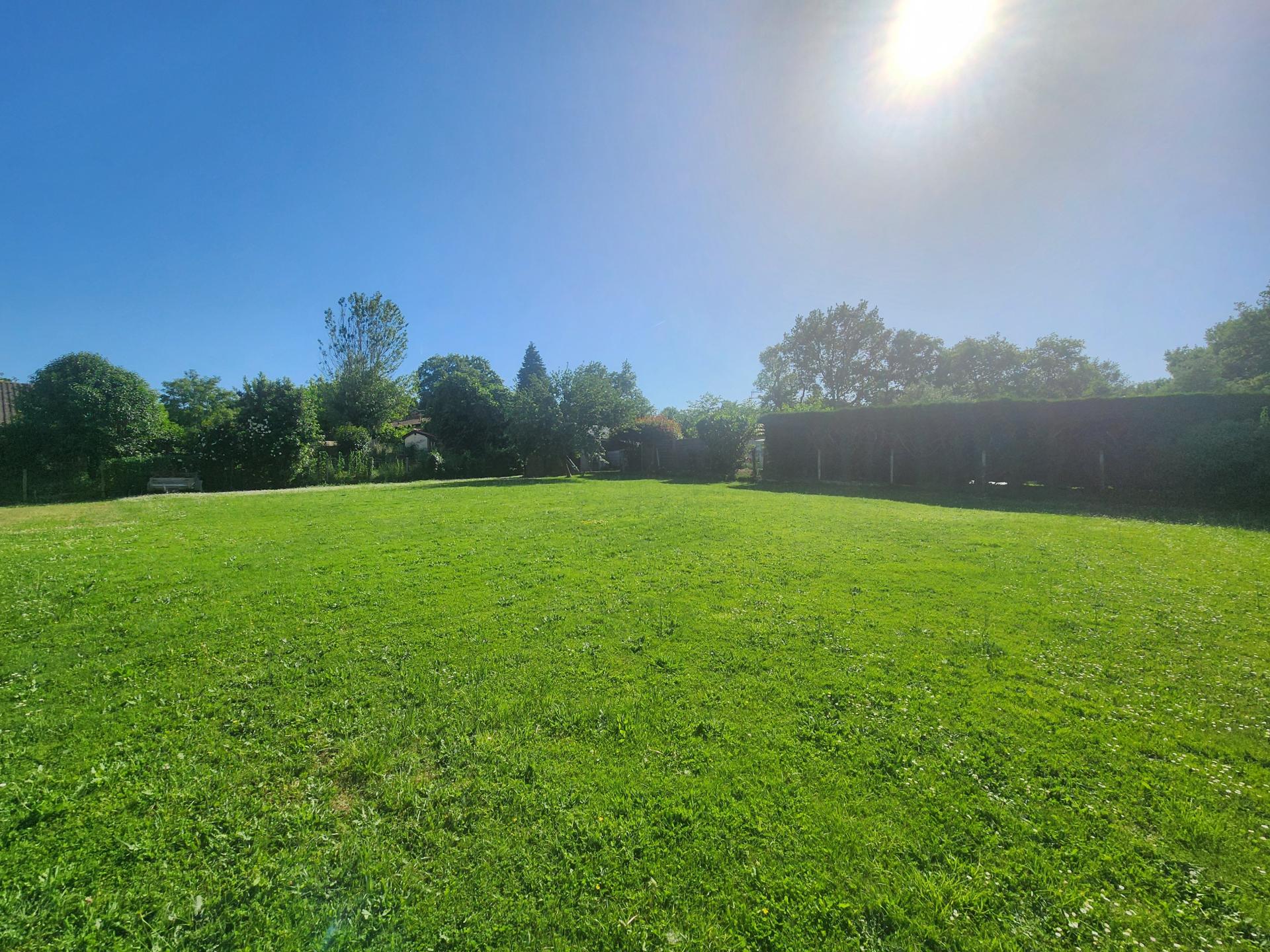 Miniature photo - 4 / 5