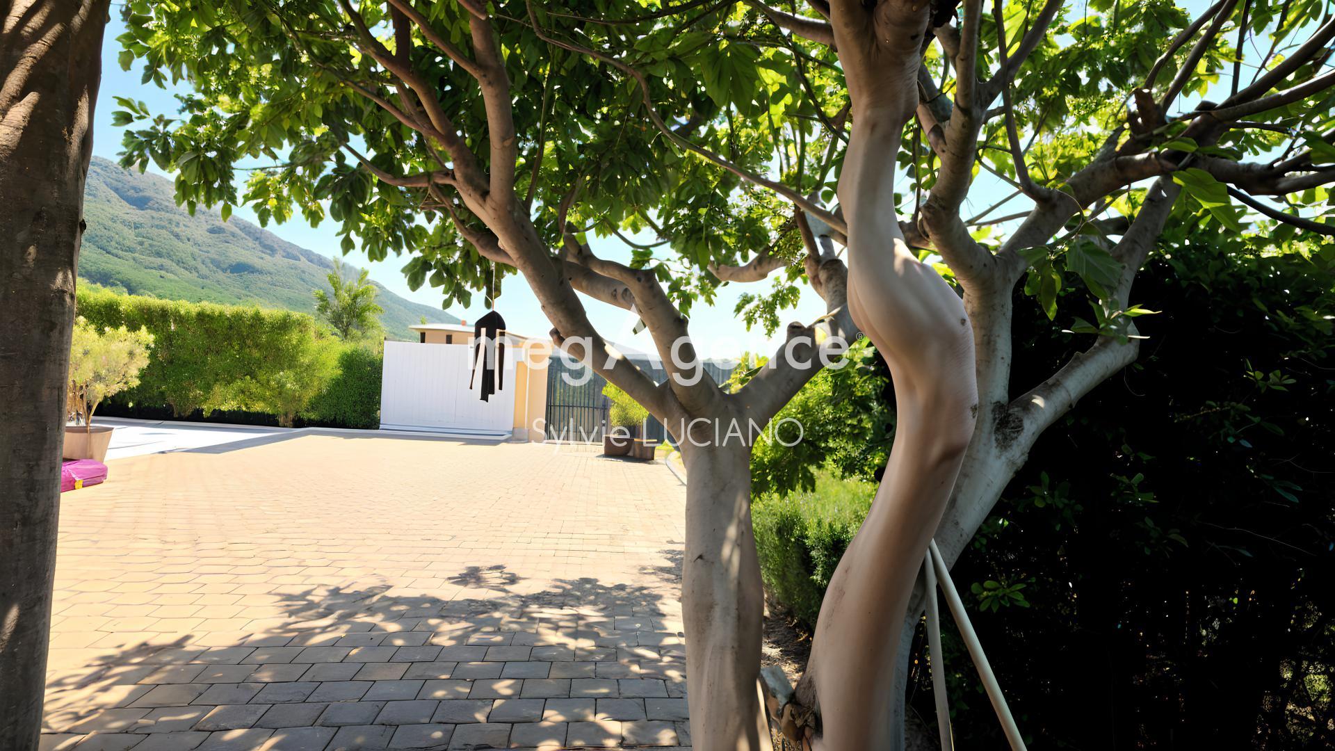Miniature photo - 4 / 9