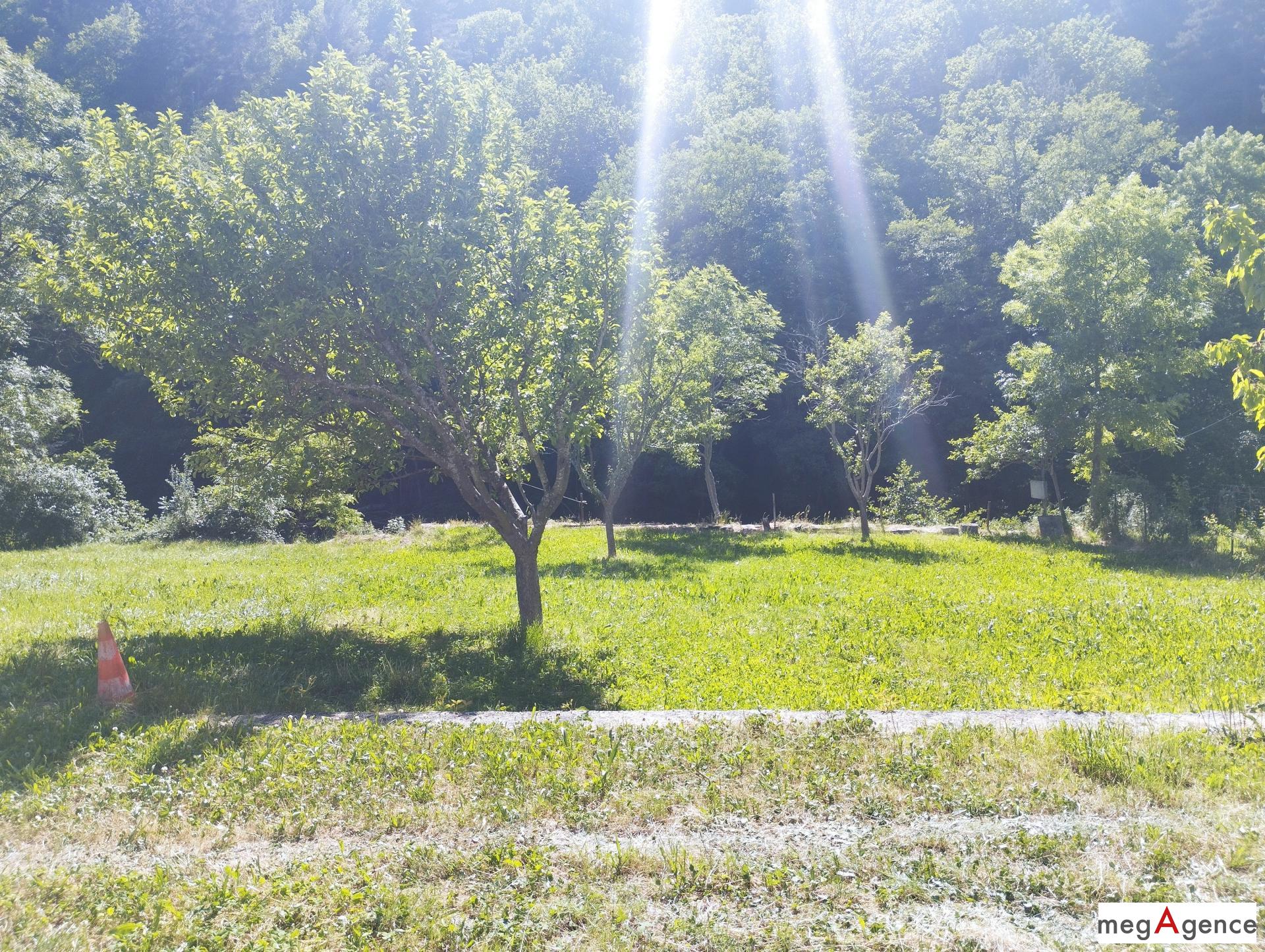 Miniature photo - 6 / 6