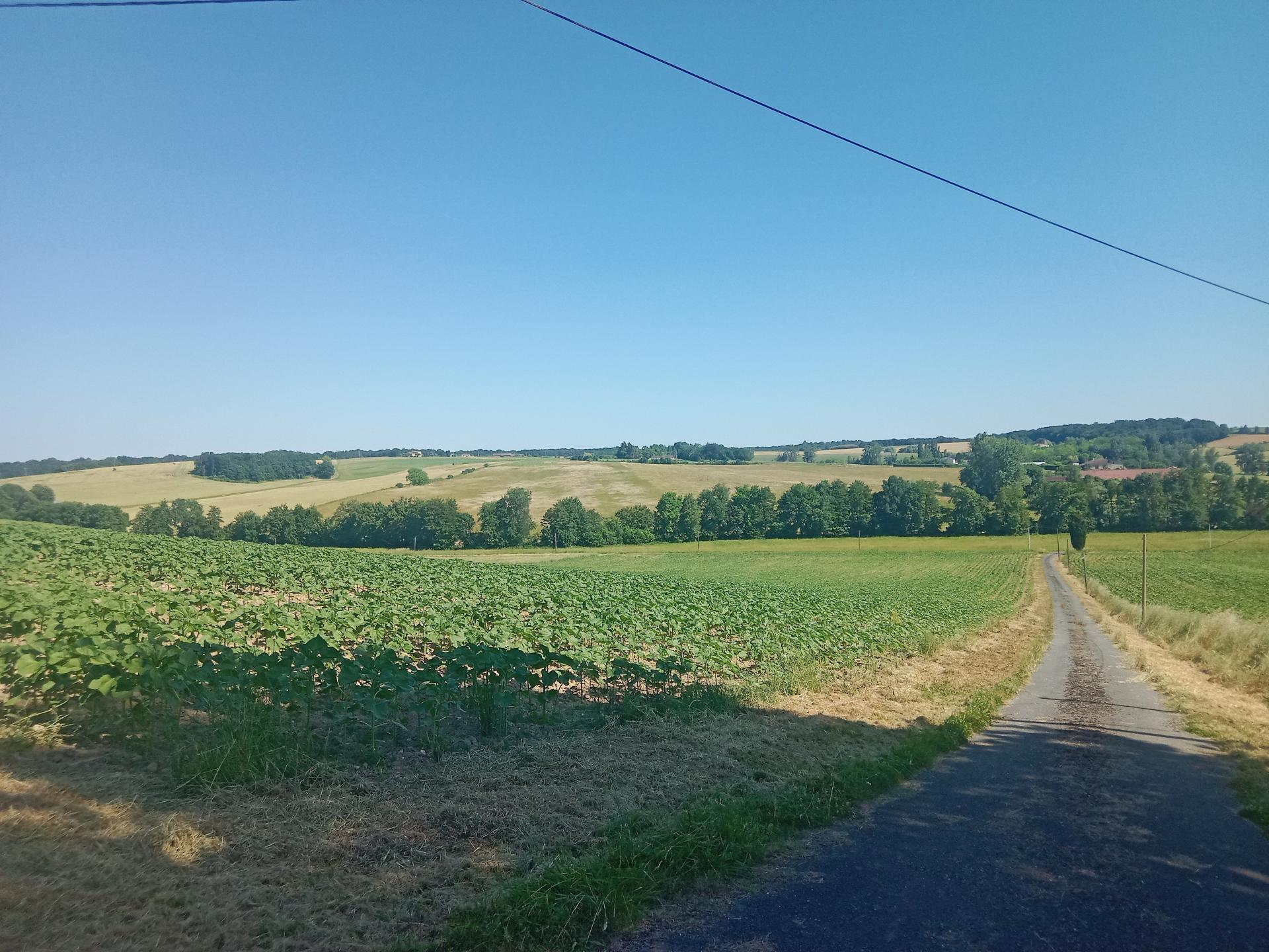 Photographie descriptive du bien
