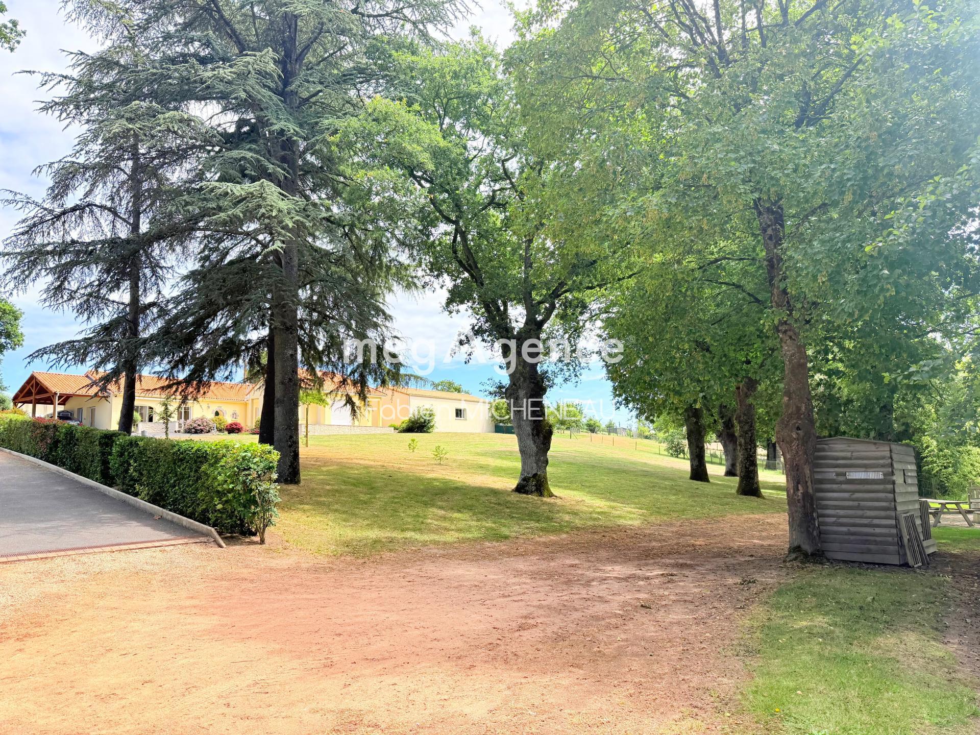 Miniature photo - 15 / 19