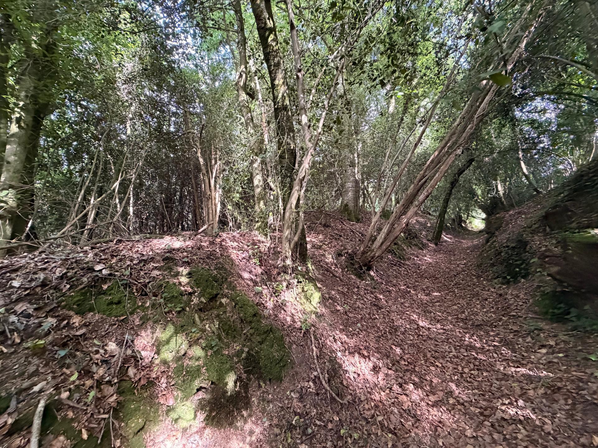 Miniature photo - 2 / 4