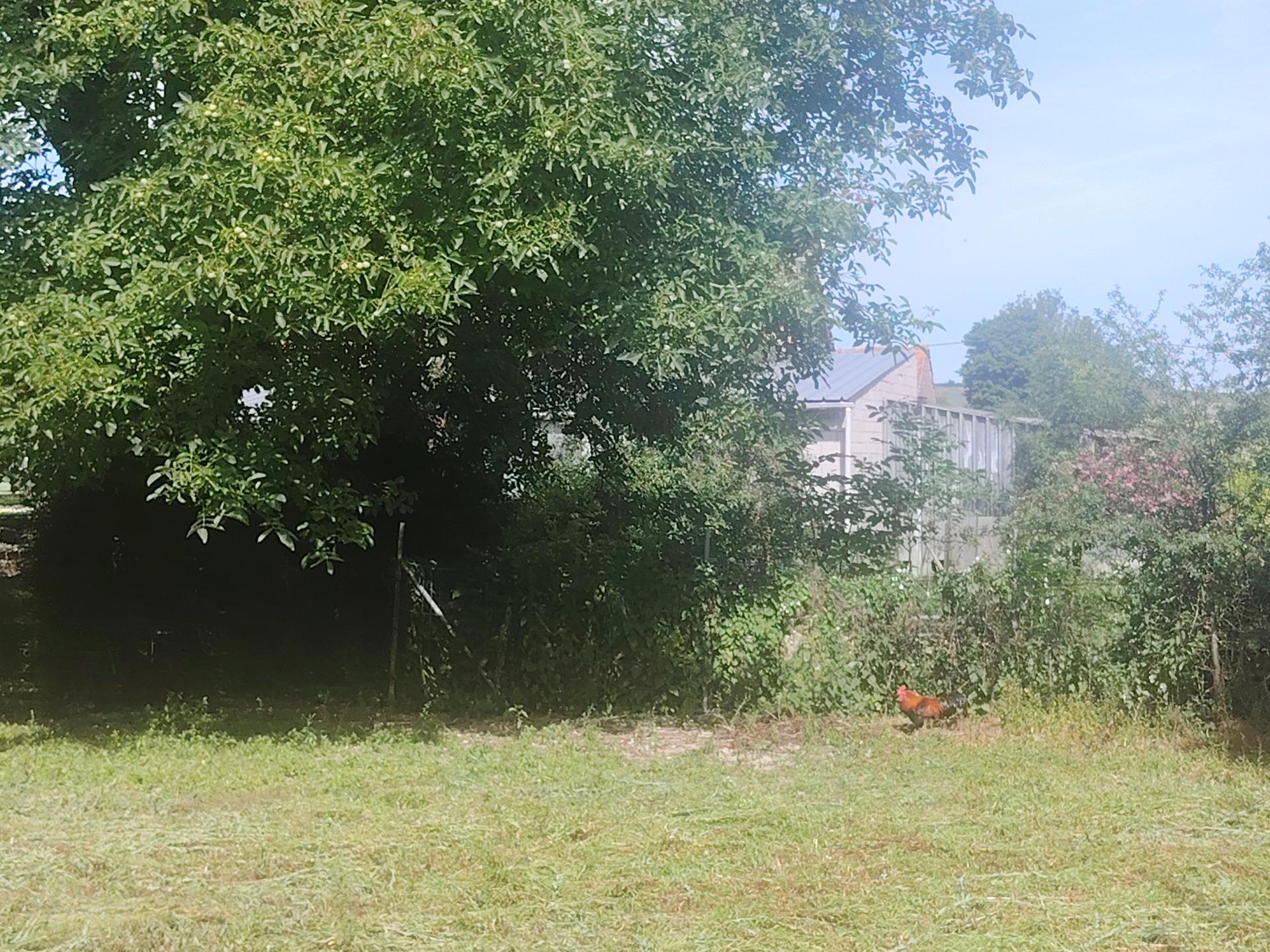 Miniature photo - 7 / 9