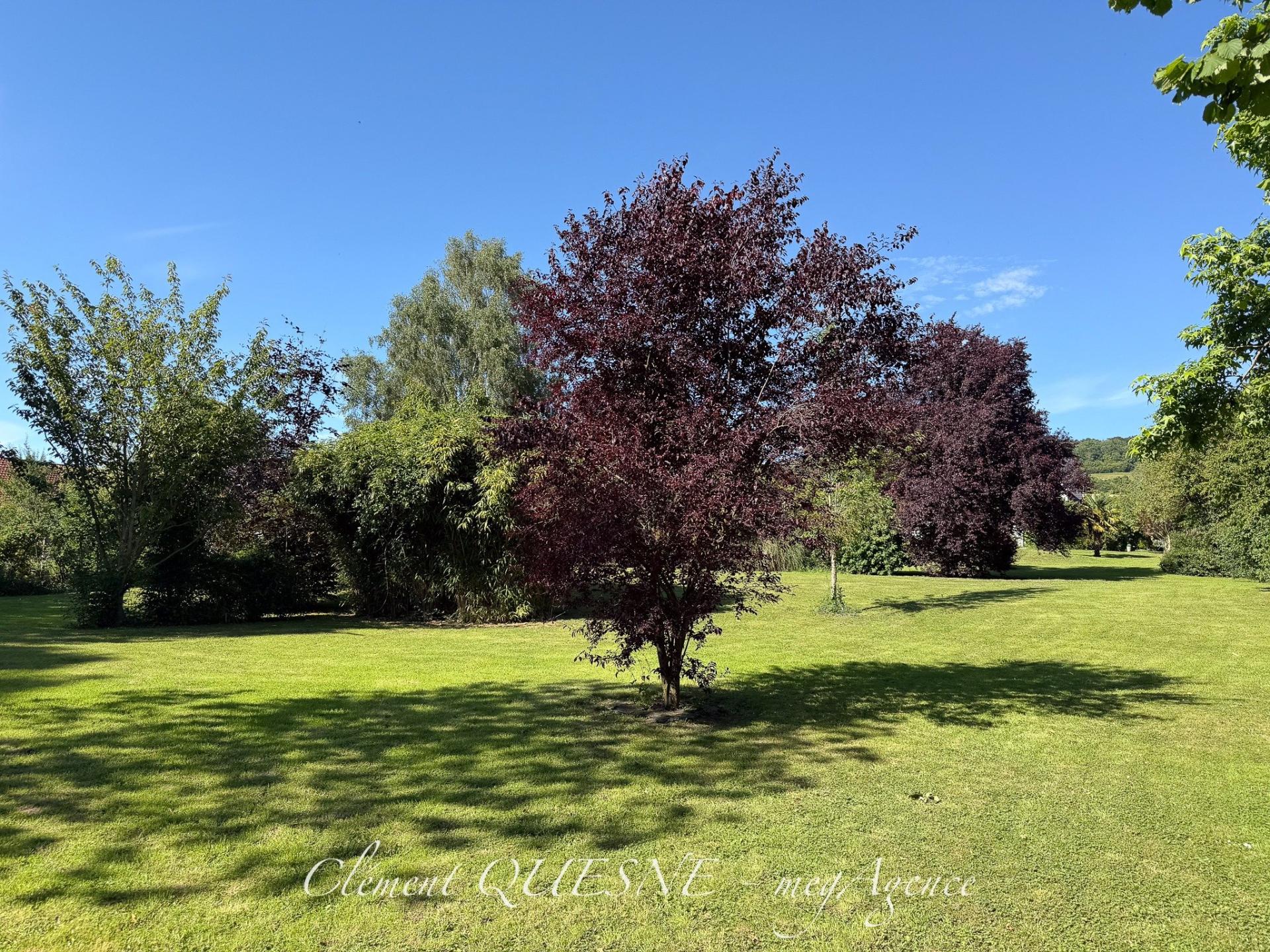 Miniature photo - 5 / 20