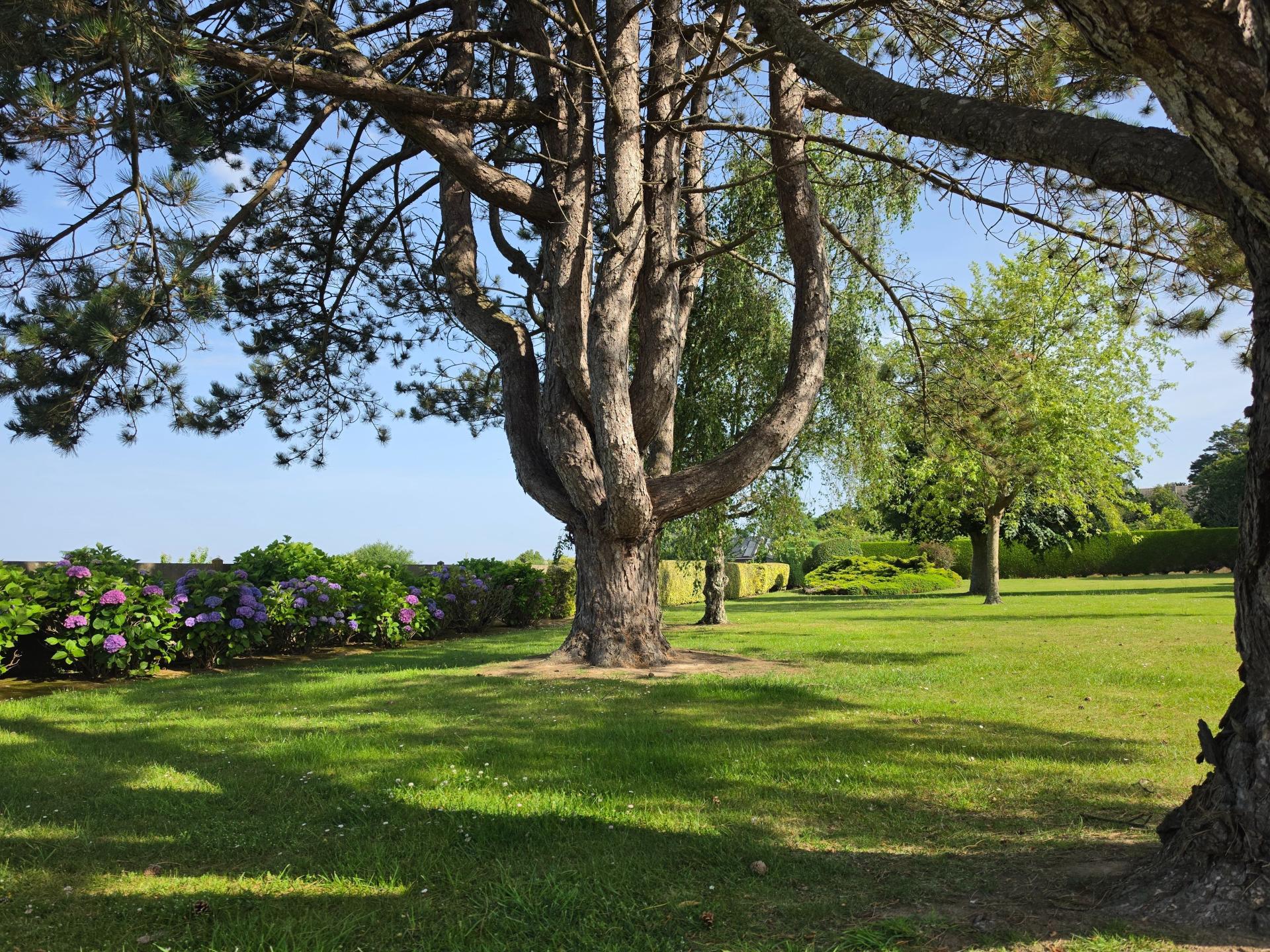 Miniature photo - 5 / 20