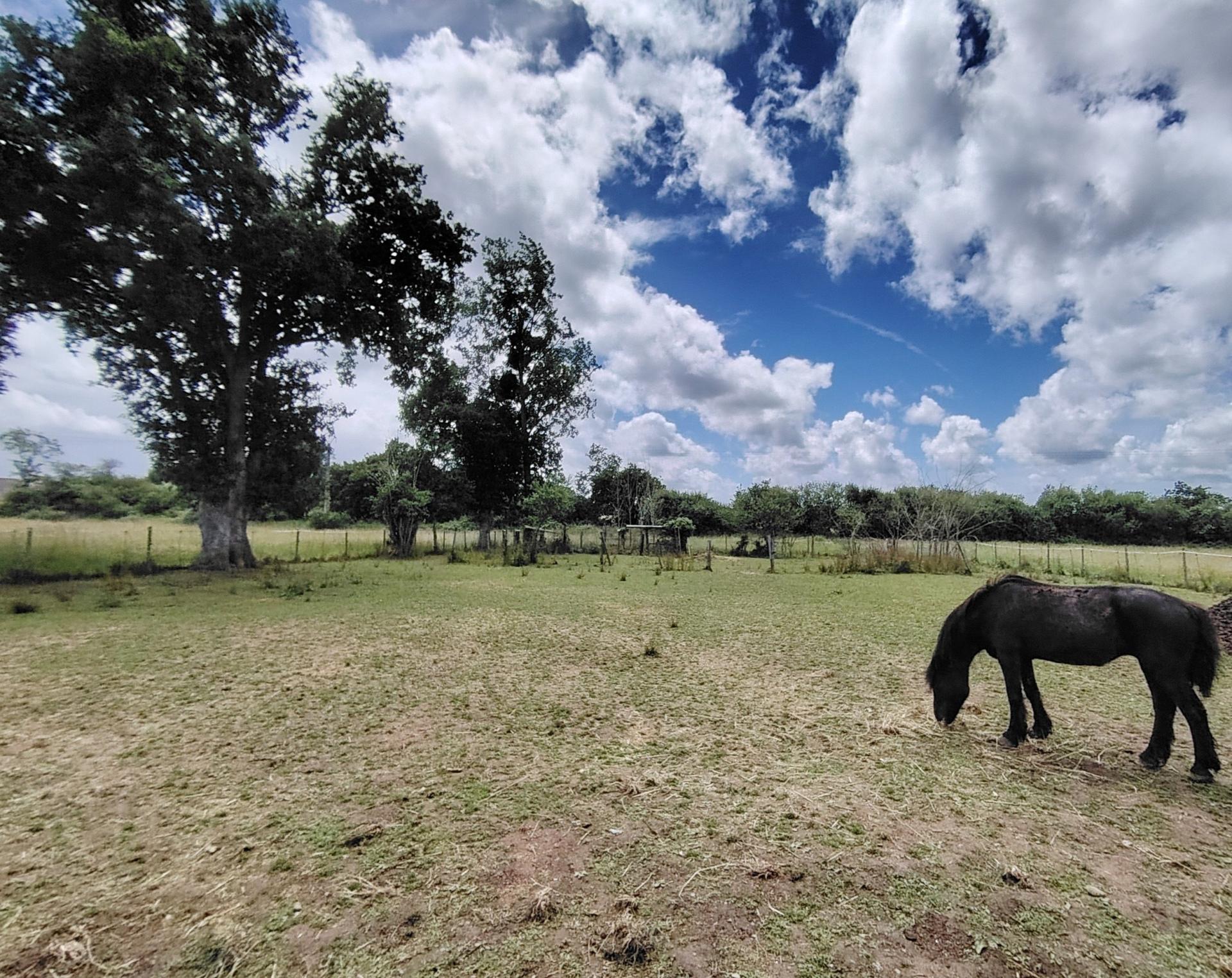 Miniature photo - 4 / 16