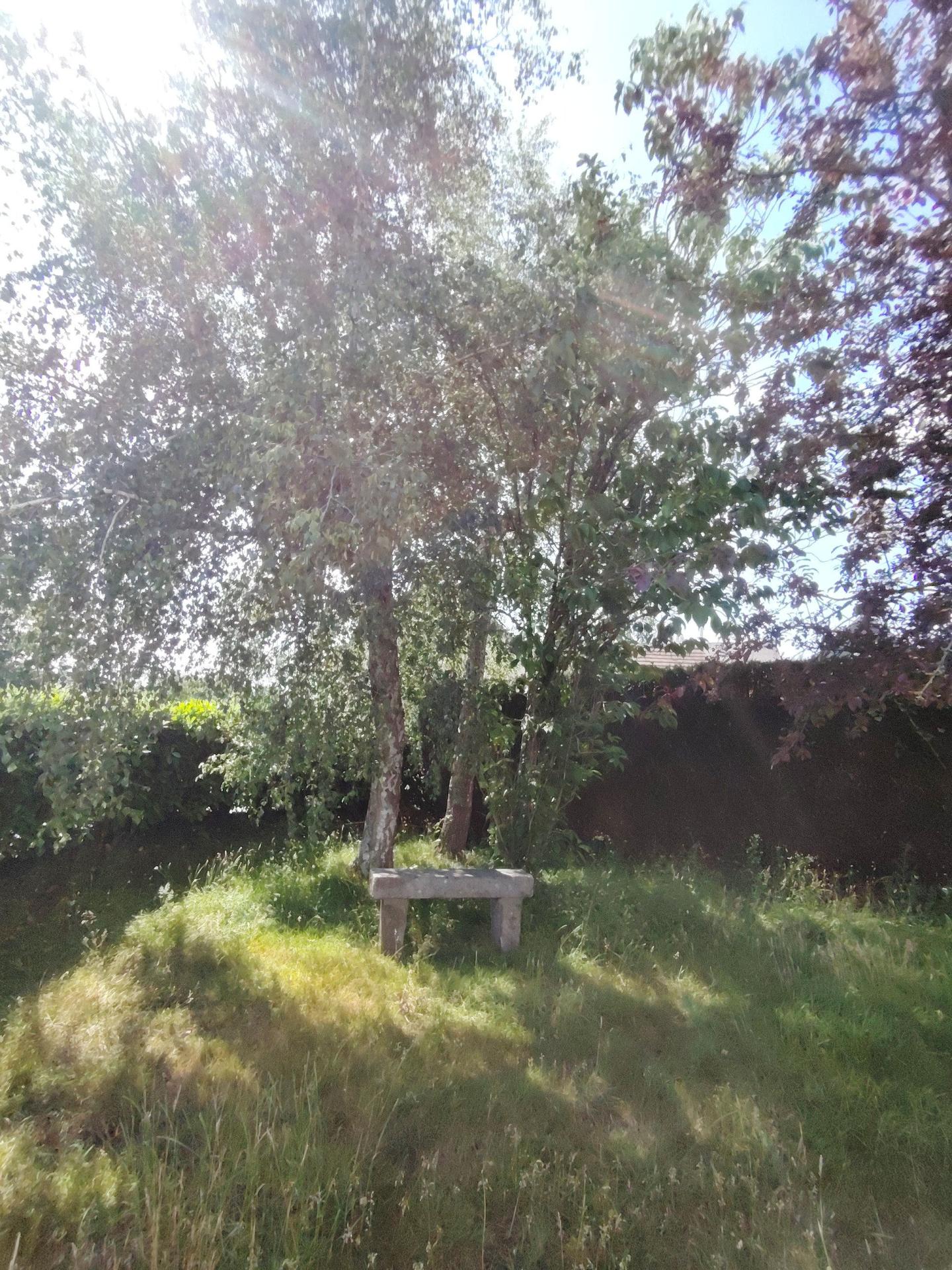 Miniature photo - 14 / 20