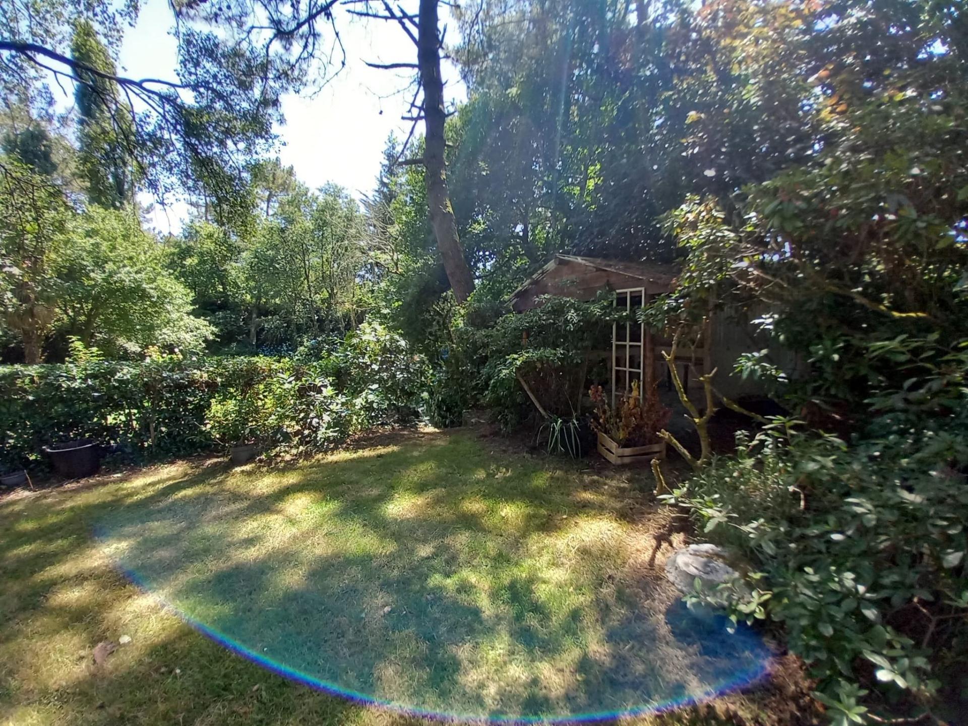 Miniature photo - 7 / 20