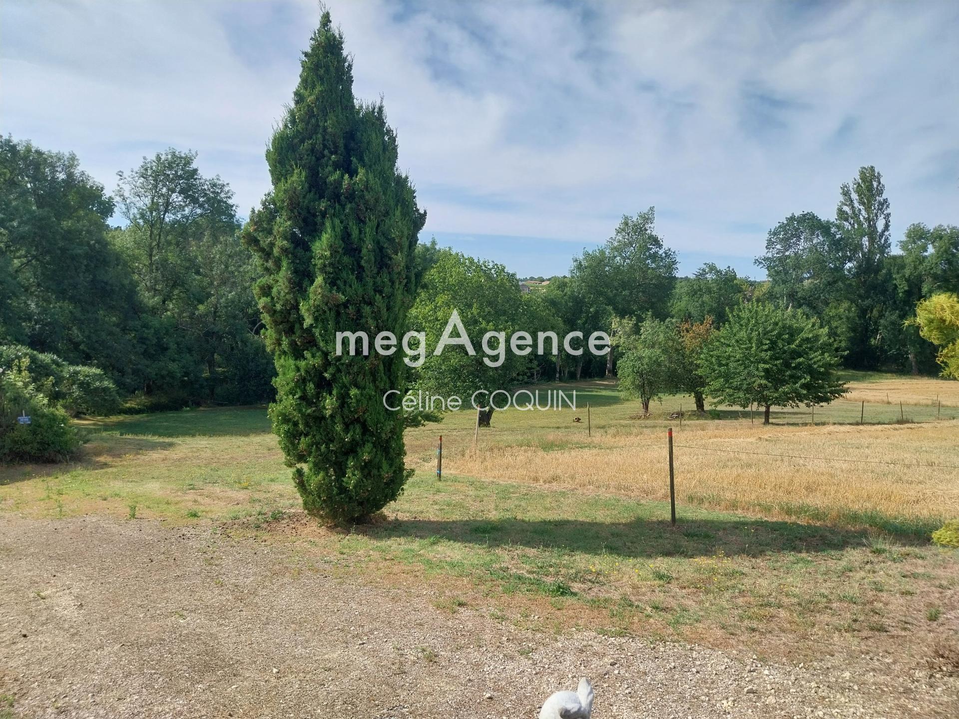 Miniature photo - 5 / 14
