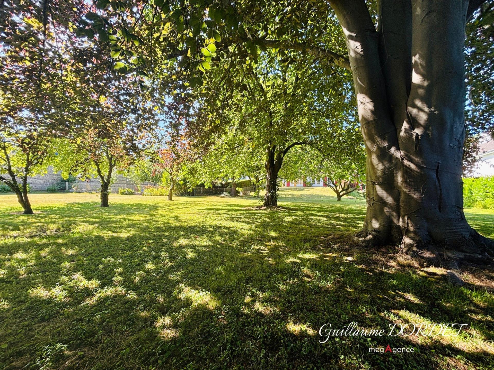 Miniature photo - 19 / 20