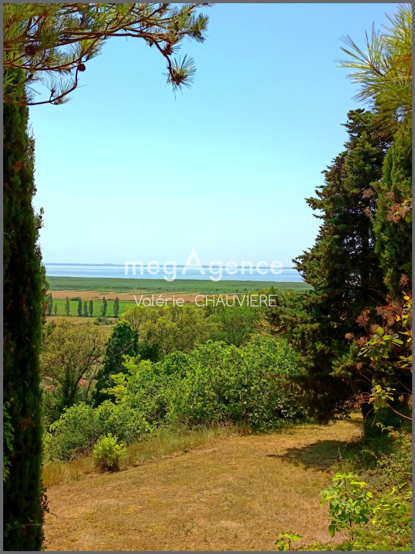 Miniature photo - 4 / 14