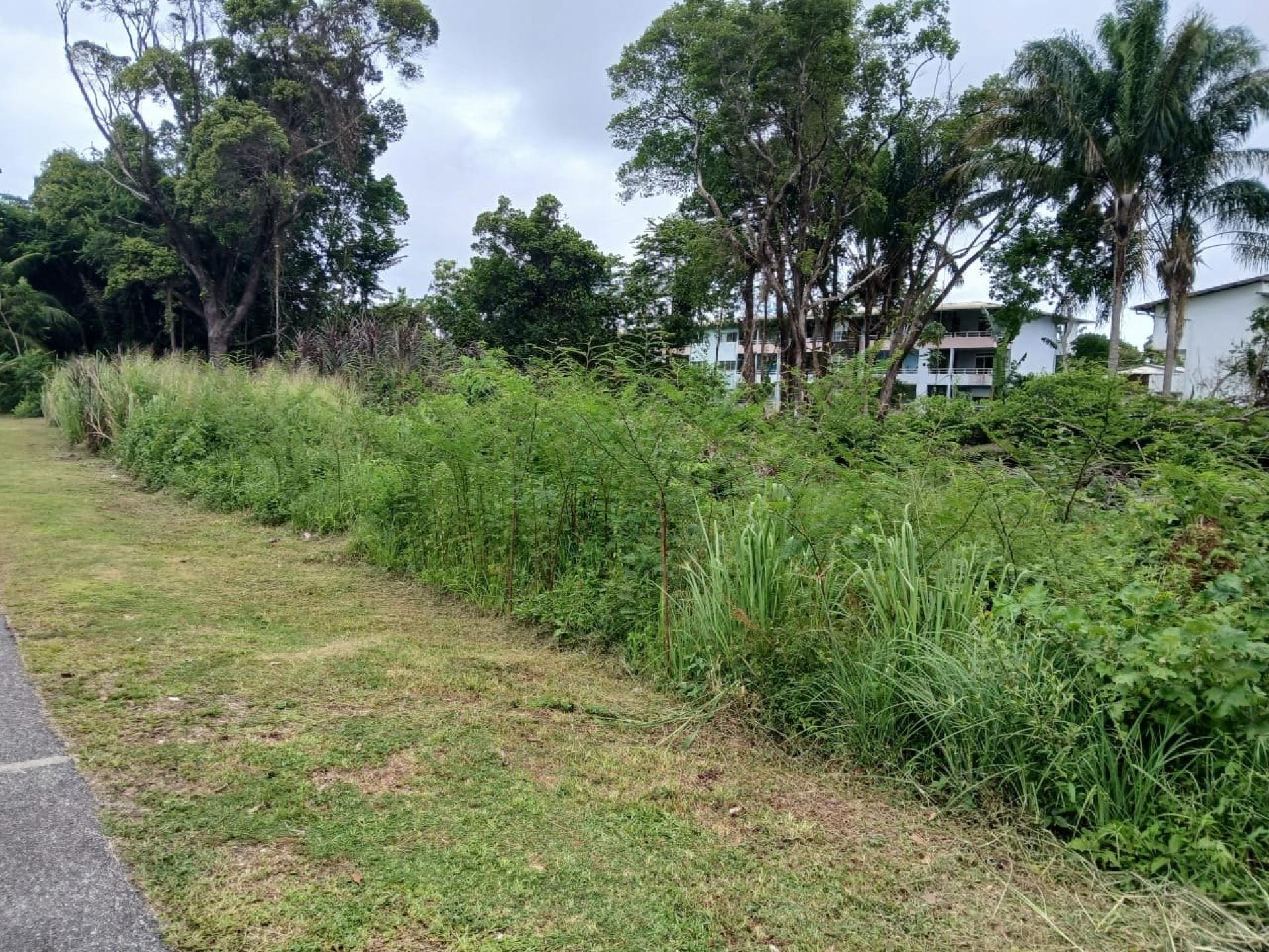 Terrain 3706 m² · à Cayenne · 550 000 €
