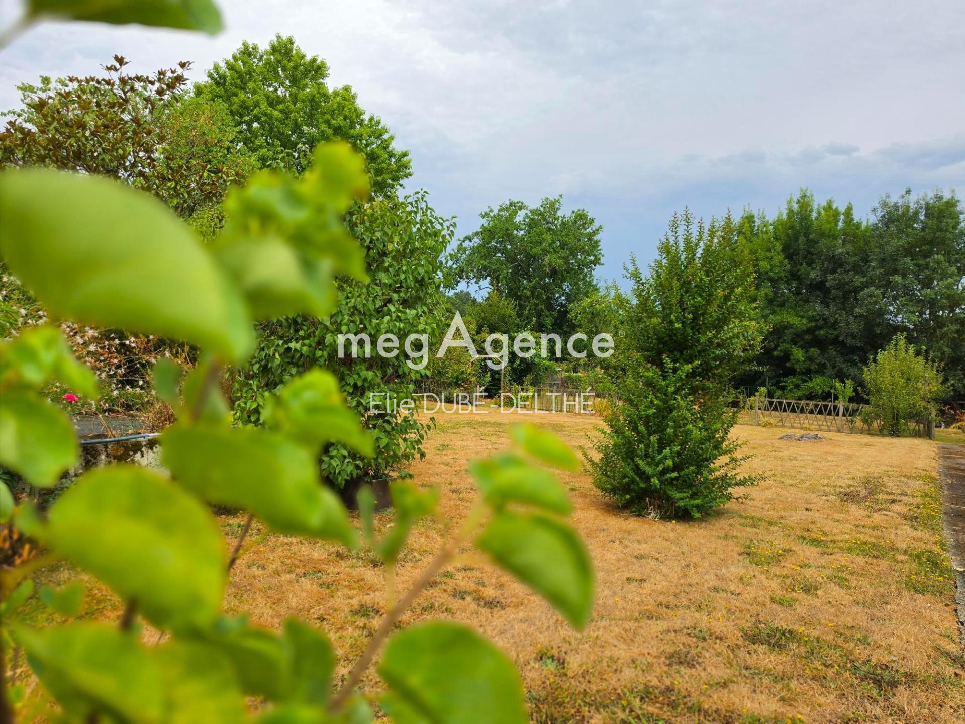 Miniature photo - 18 / 19