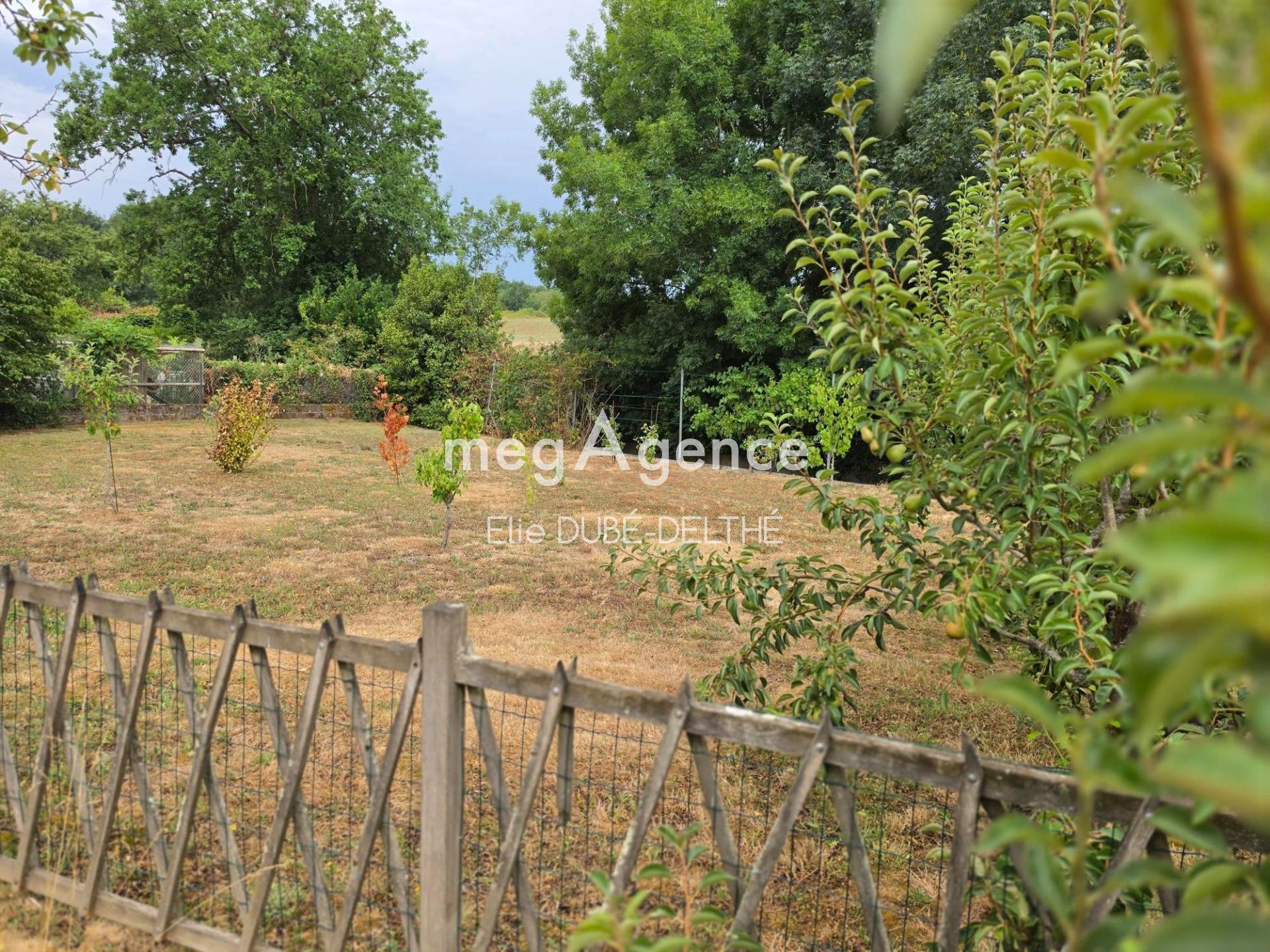 Miniature photo - 19 / 19