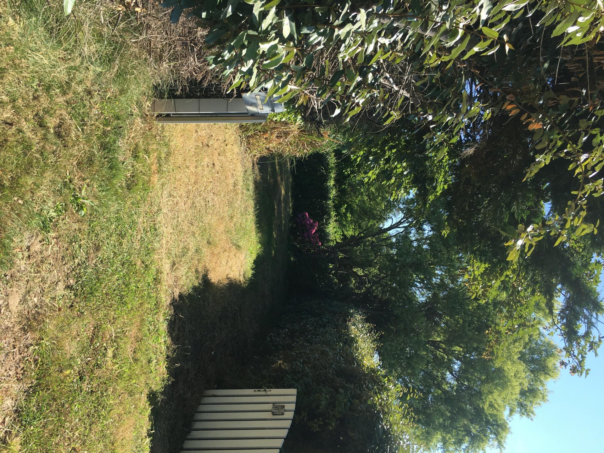 Miniature photo - 4 / 9