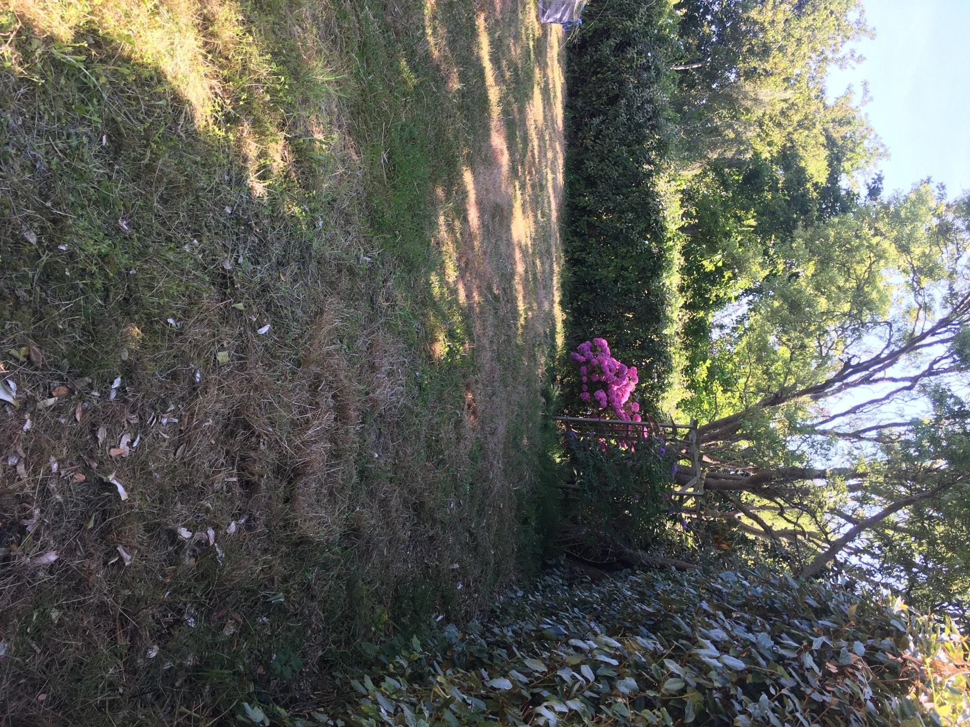 Miniature photo - 3 / 9