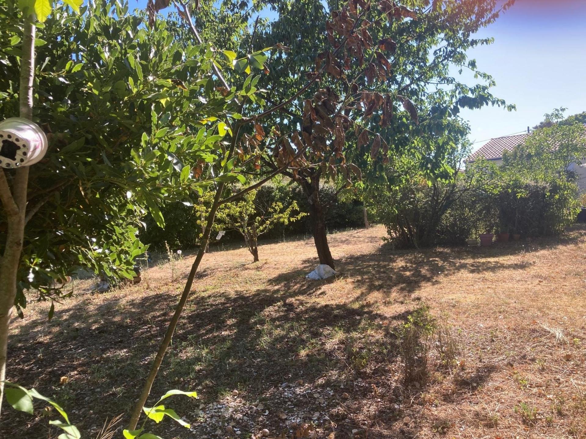 Miniature photo - 8 / 9