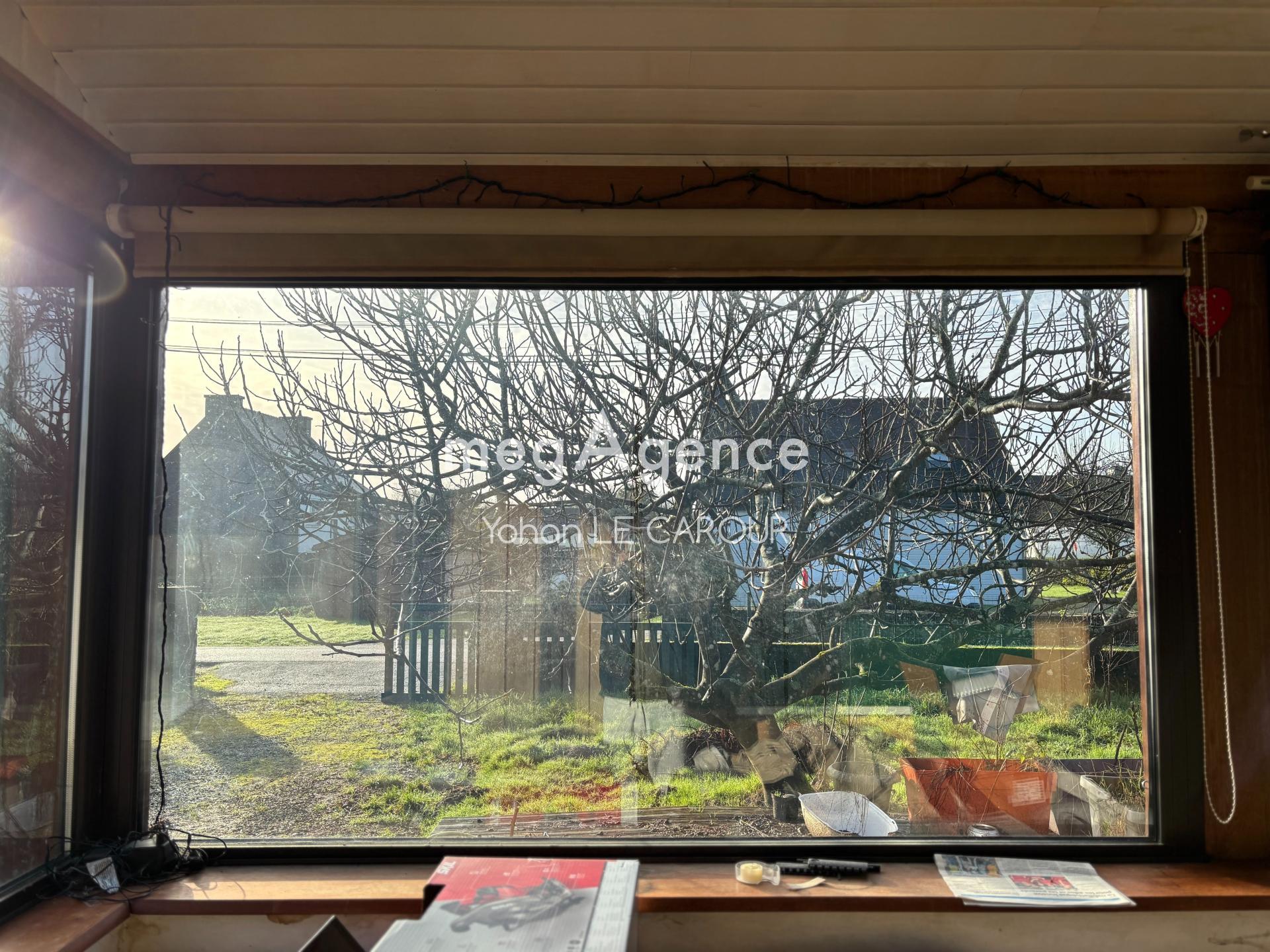 Miniature photo - 3 / 10