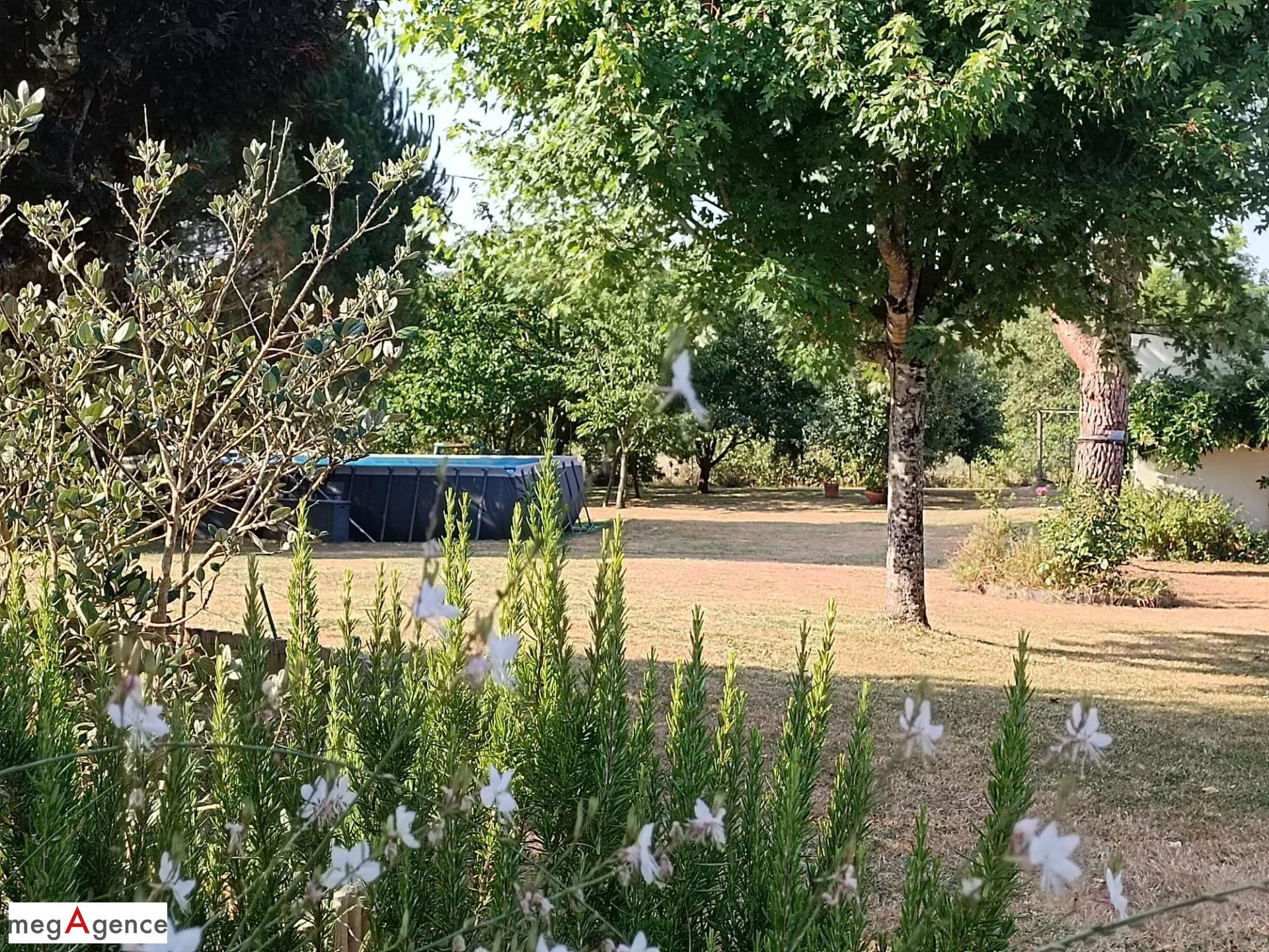 Miniature photo - 6 / 16