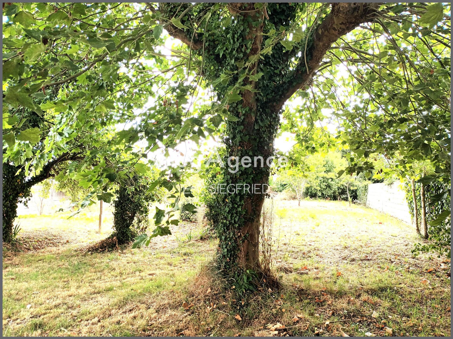 Miniature photo - 3 / 10