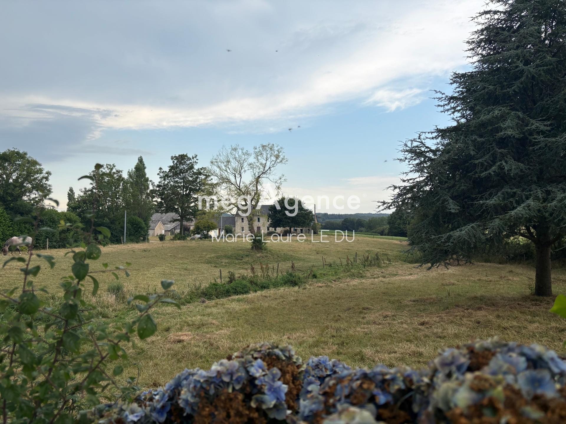 Miniature photo - 2 / 20