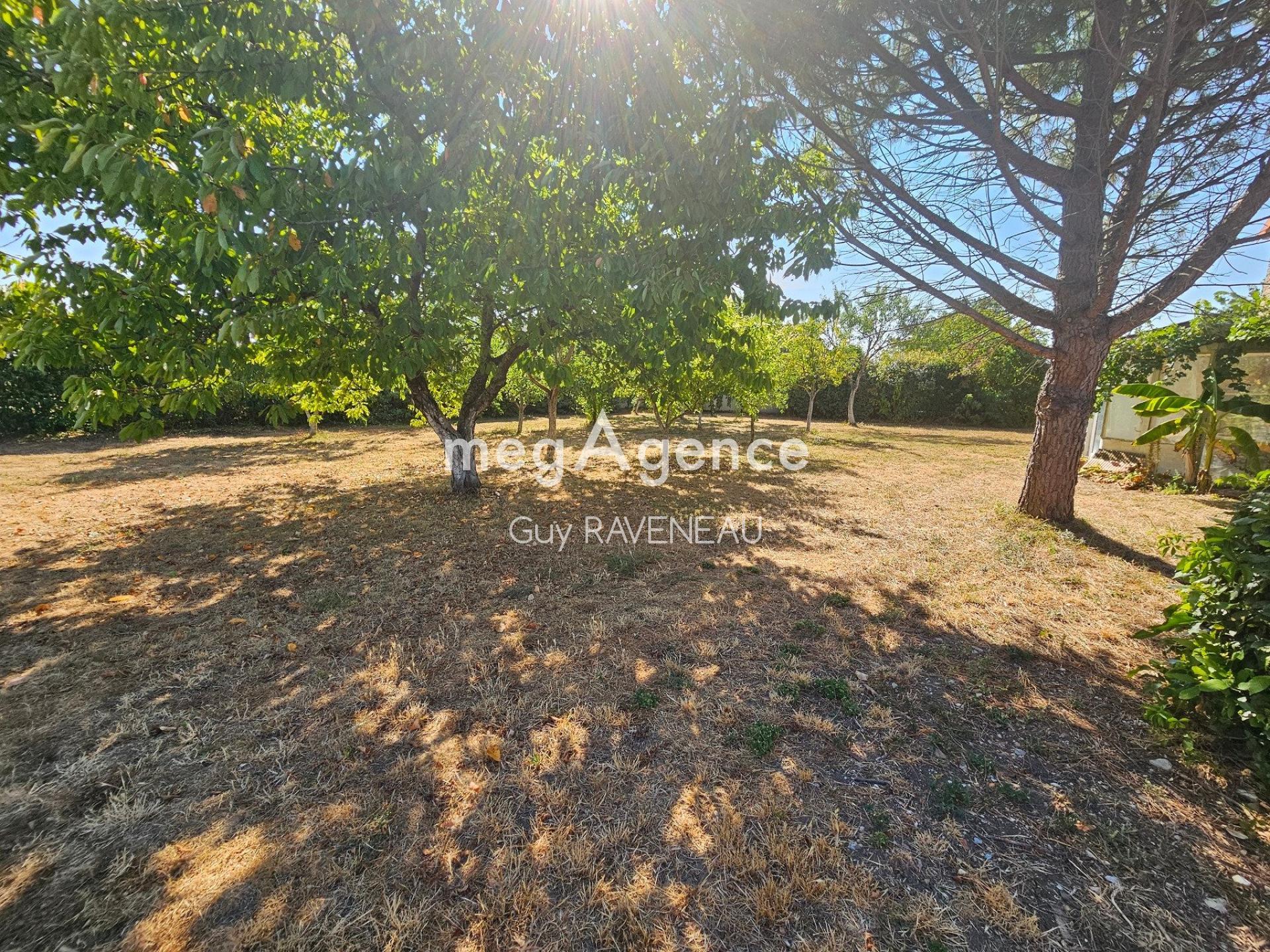 Miniature photo - 15 / 19