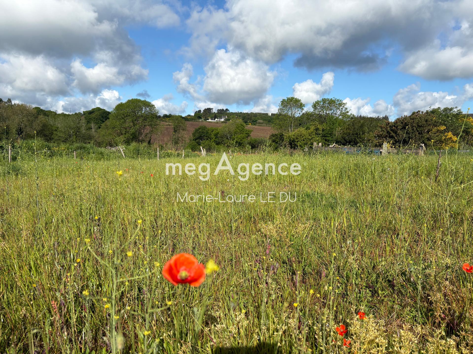 Miniature photo - 7 / 20