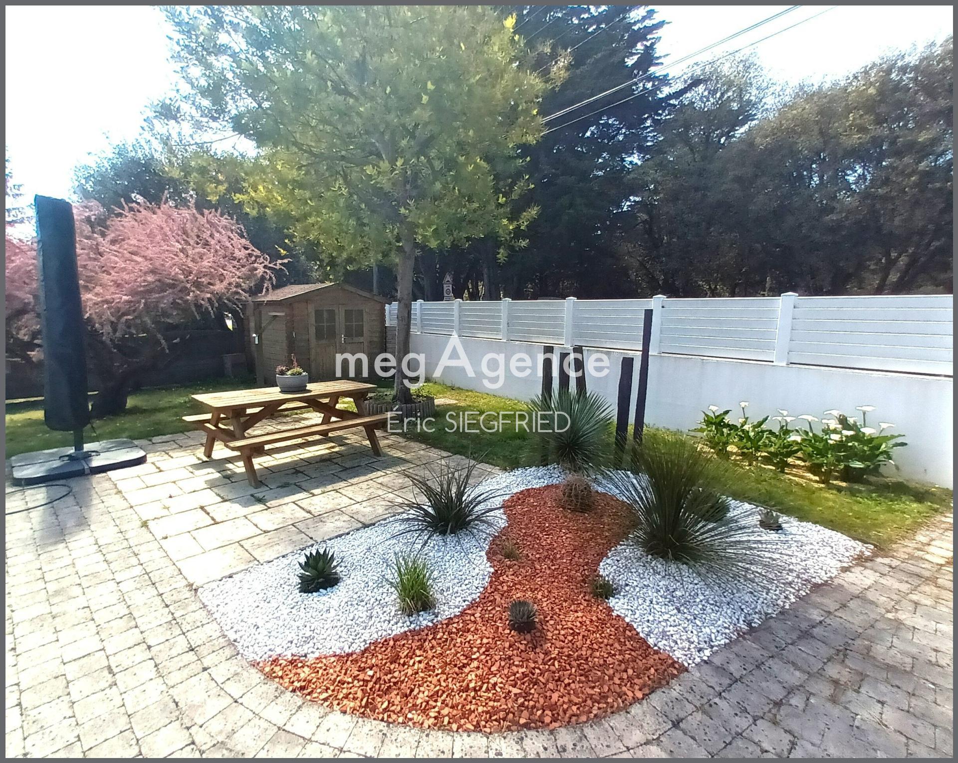 Miniature photo - 3 / 11