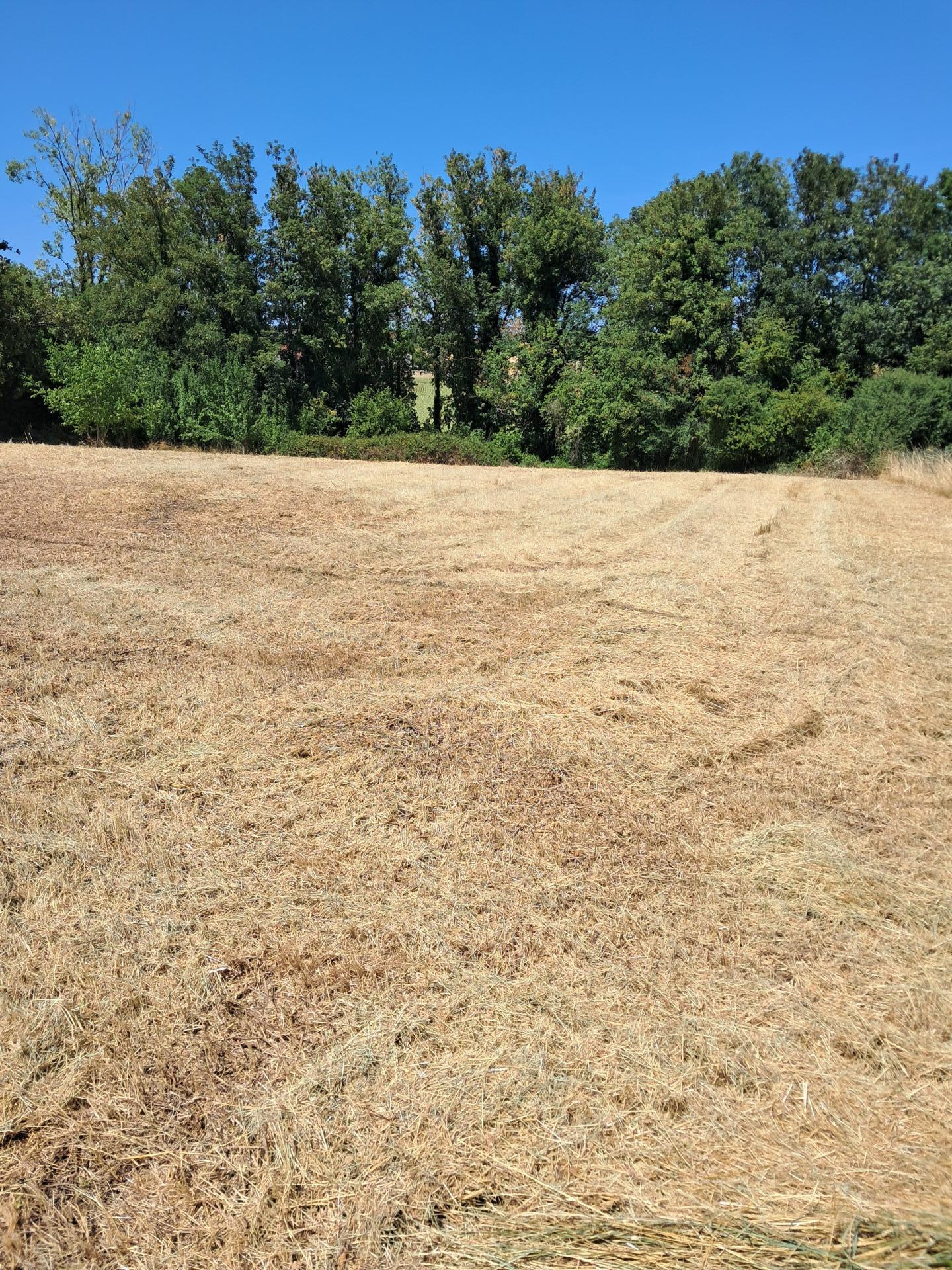 Terrain à construire à la campagne de Saulcet