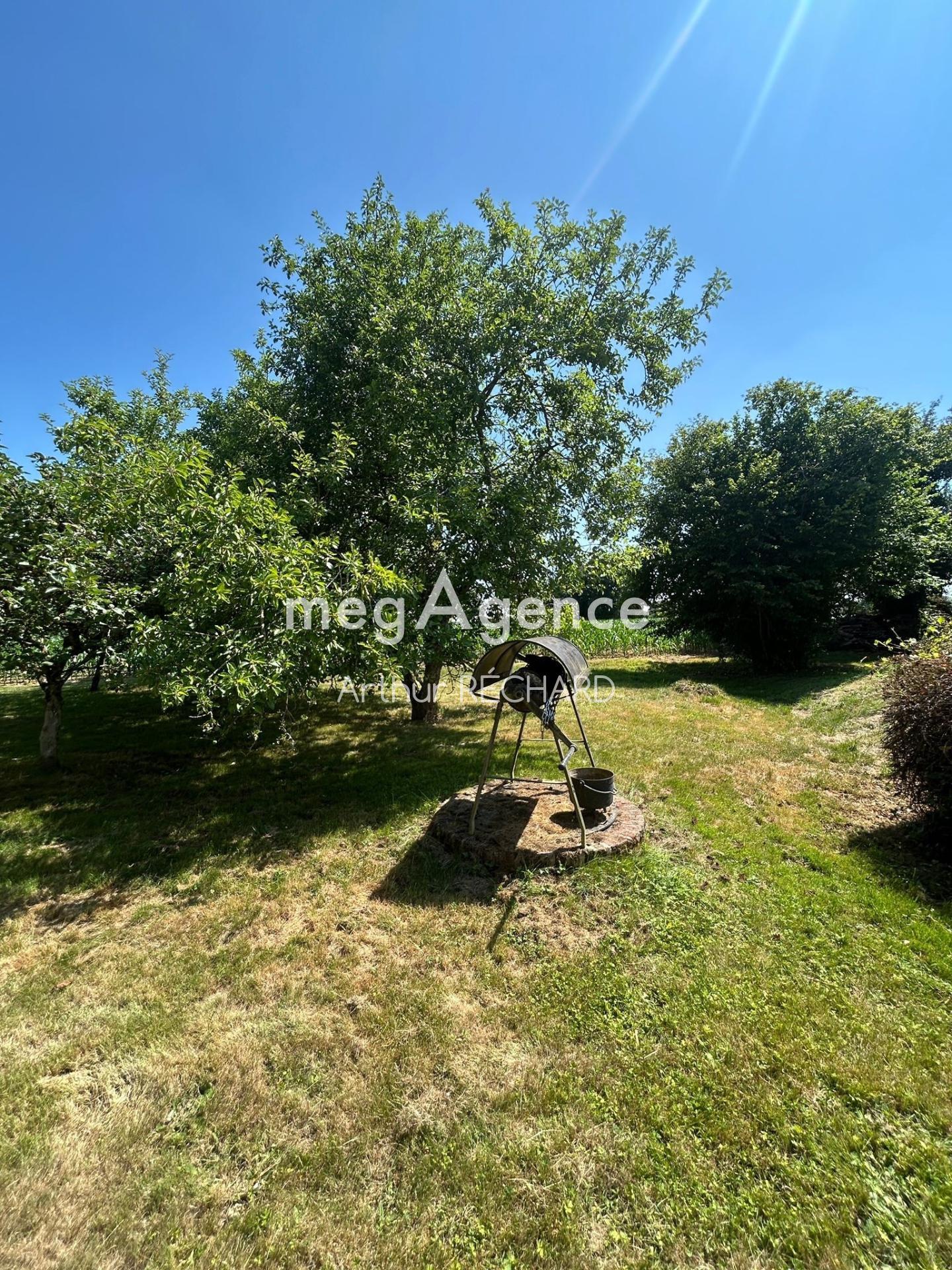 Miniature photo - 14 / 15