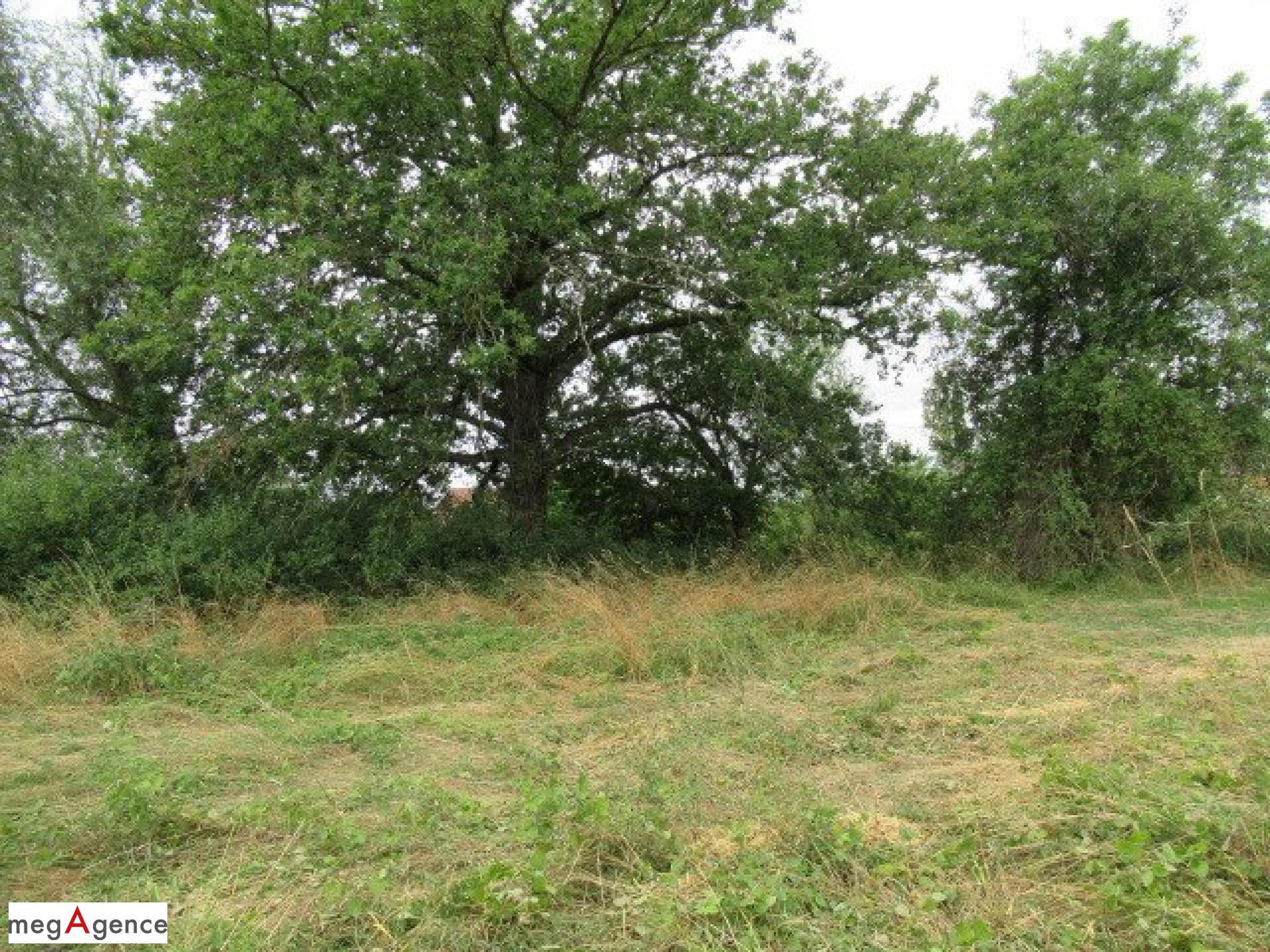 Achat : Terrain à VENDAT, 03110 - 1730m² — 2